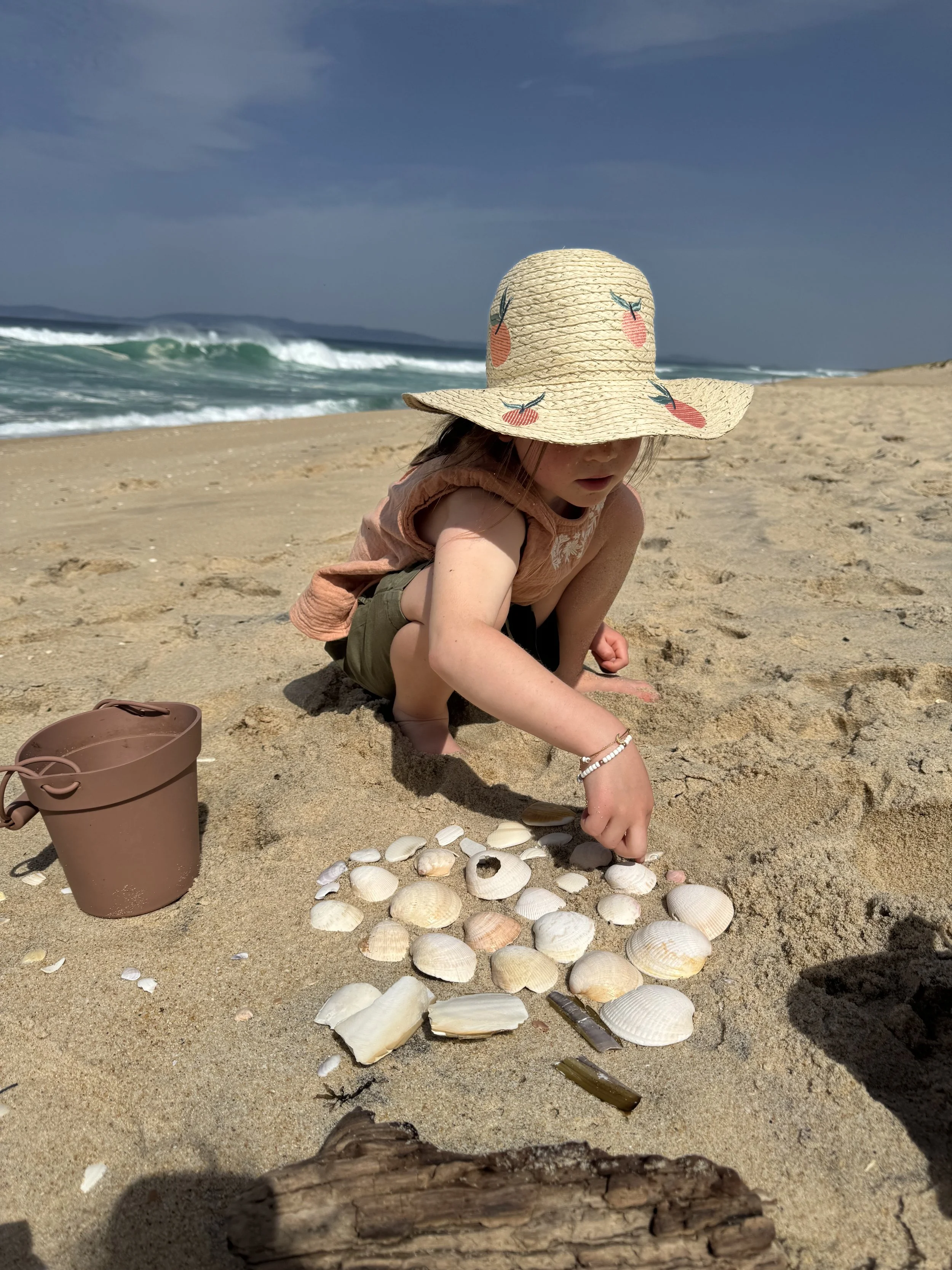 Shells in Comporta with Kids