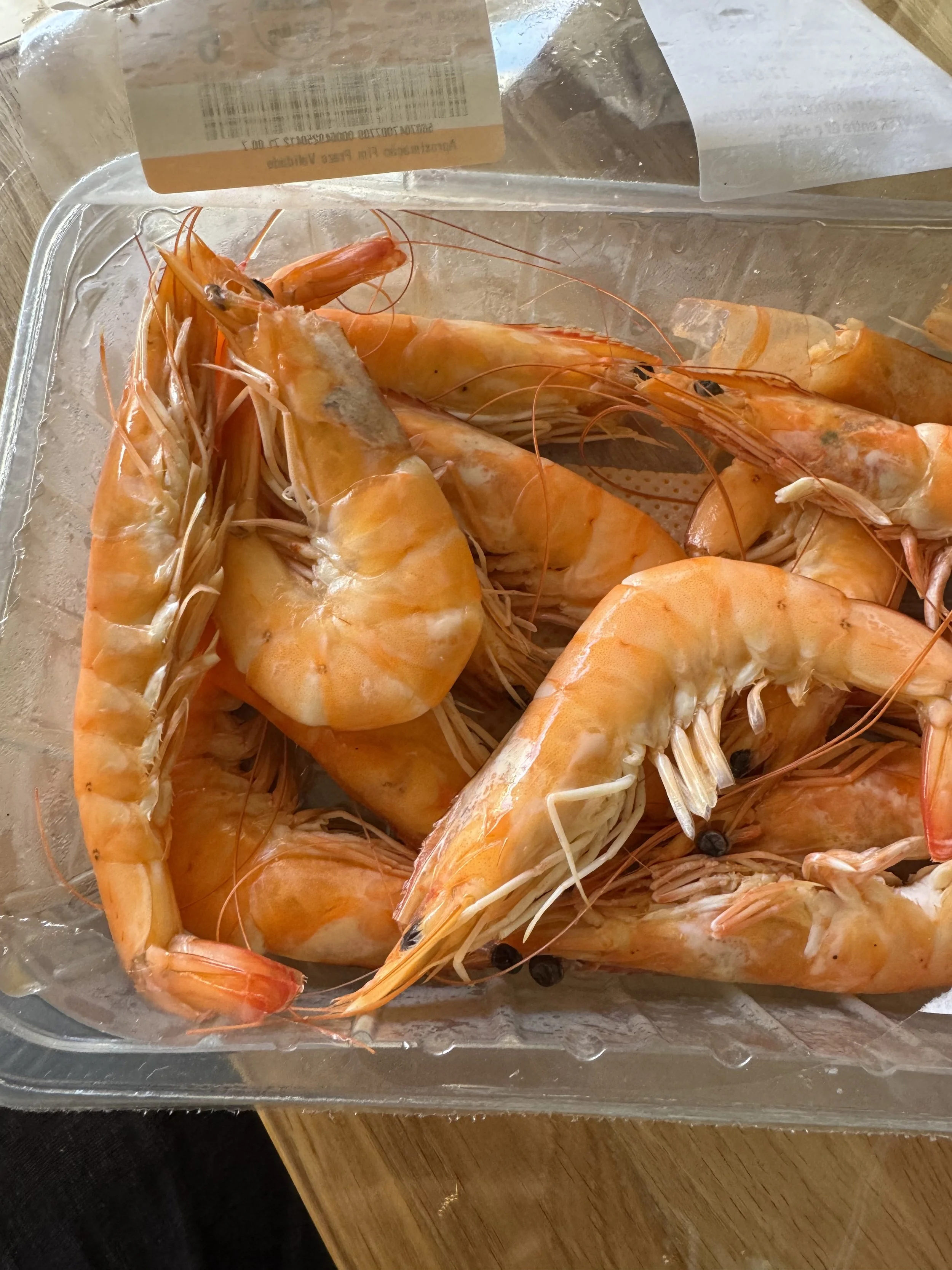 Seafood in Lagos, Algarve with Kids