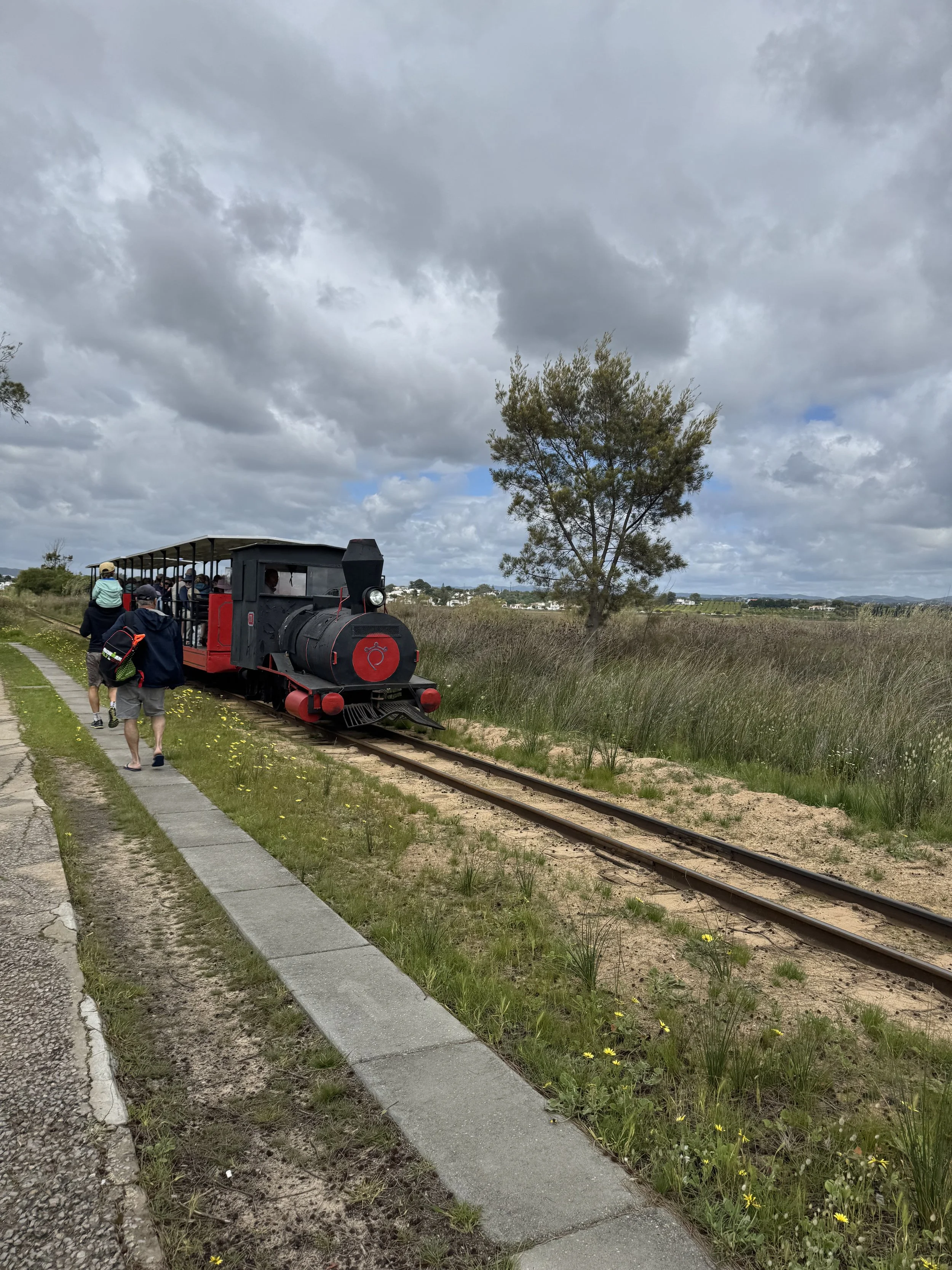 Praia do Barril beach train, Tavira with Kids