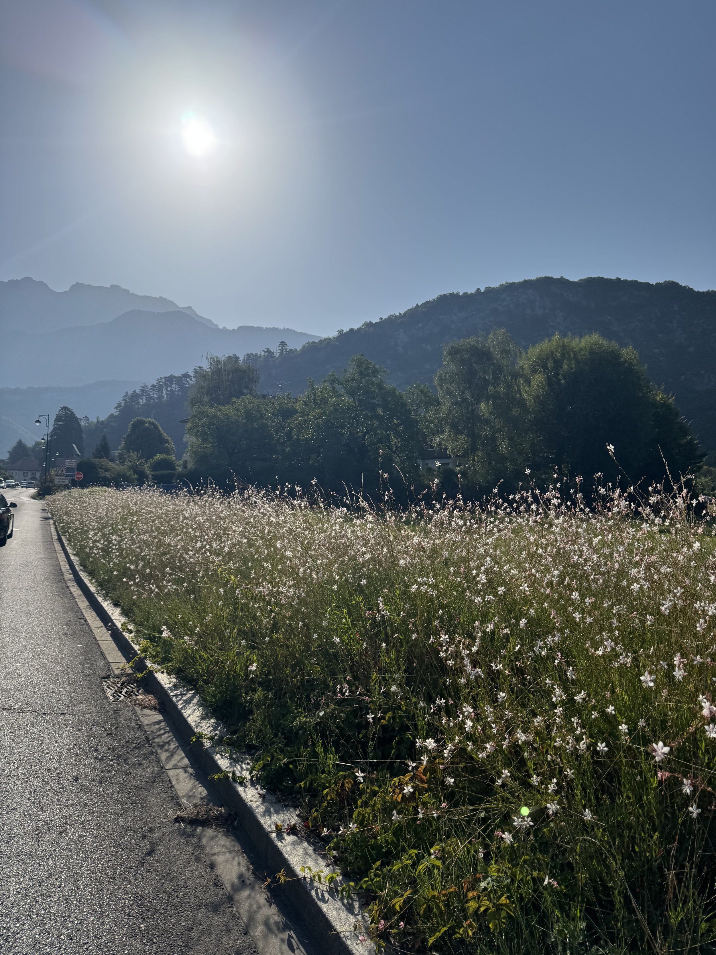Lake Annecy Guide, Travel with Kids