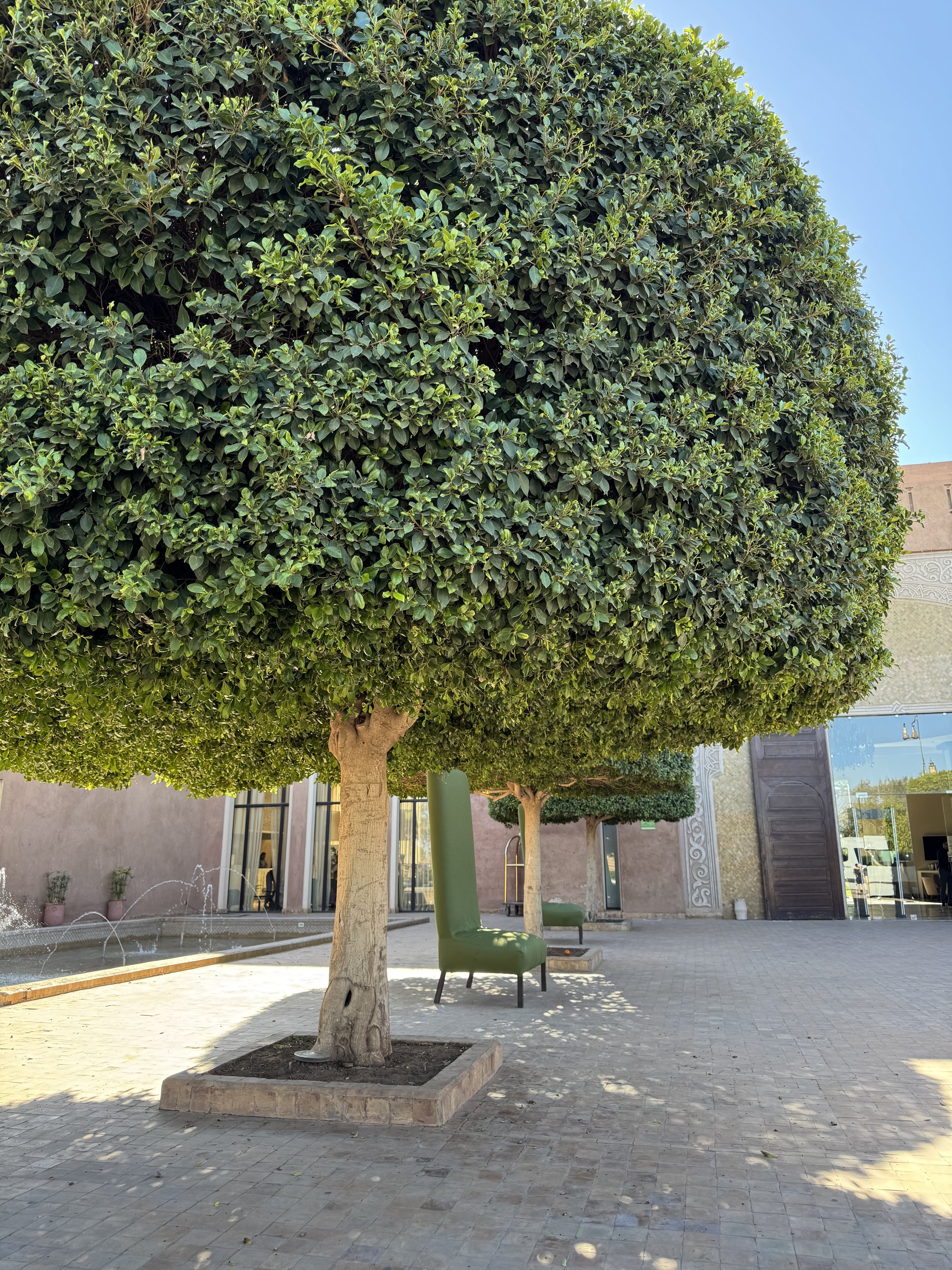 Kenzi Club Agdal Medina, Resort Review, Marrakech with Kids