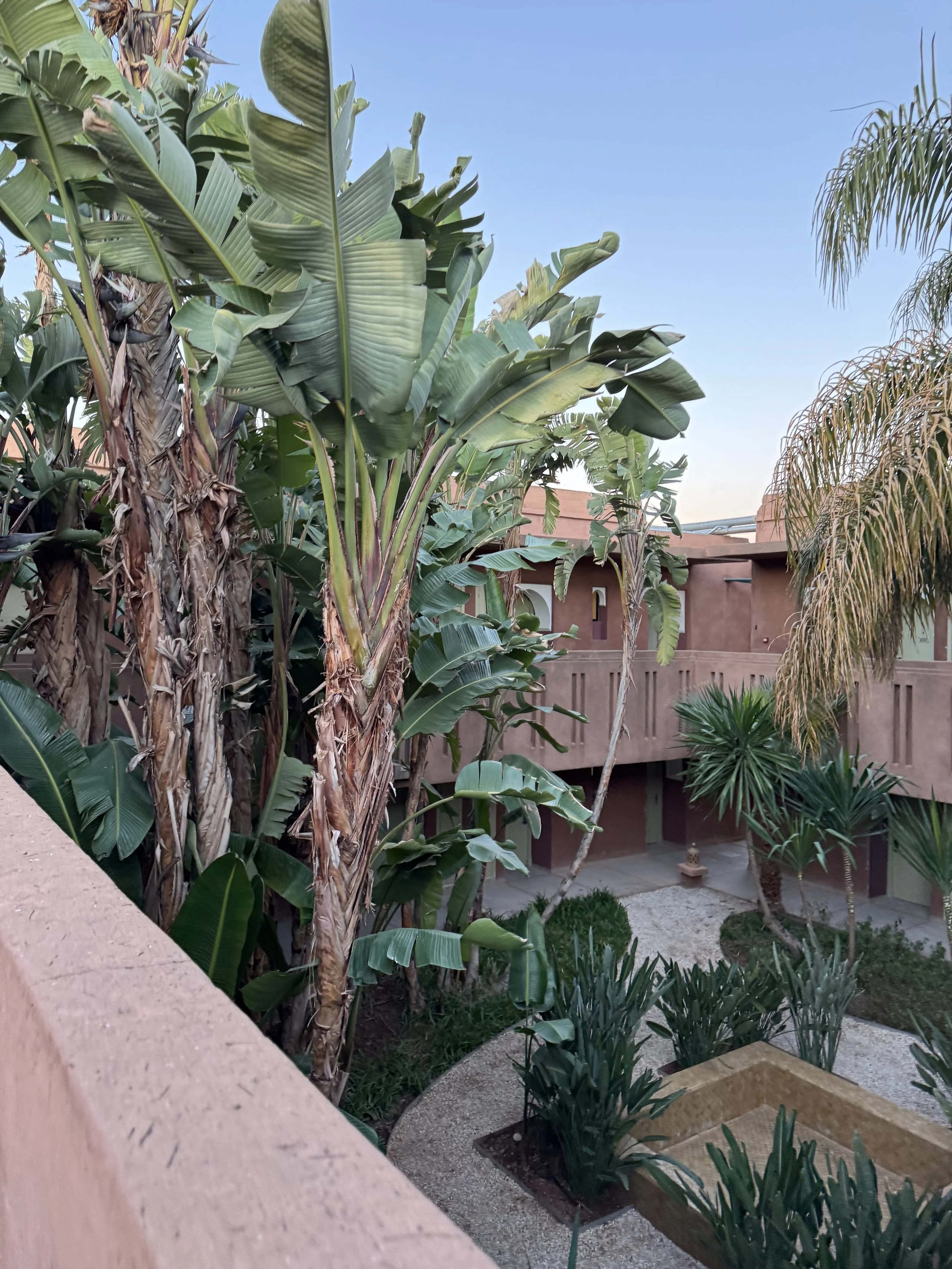 Kenzi Club Agdal Medina, Resort Review, Marrakech with Kids