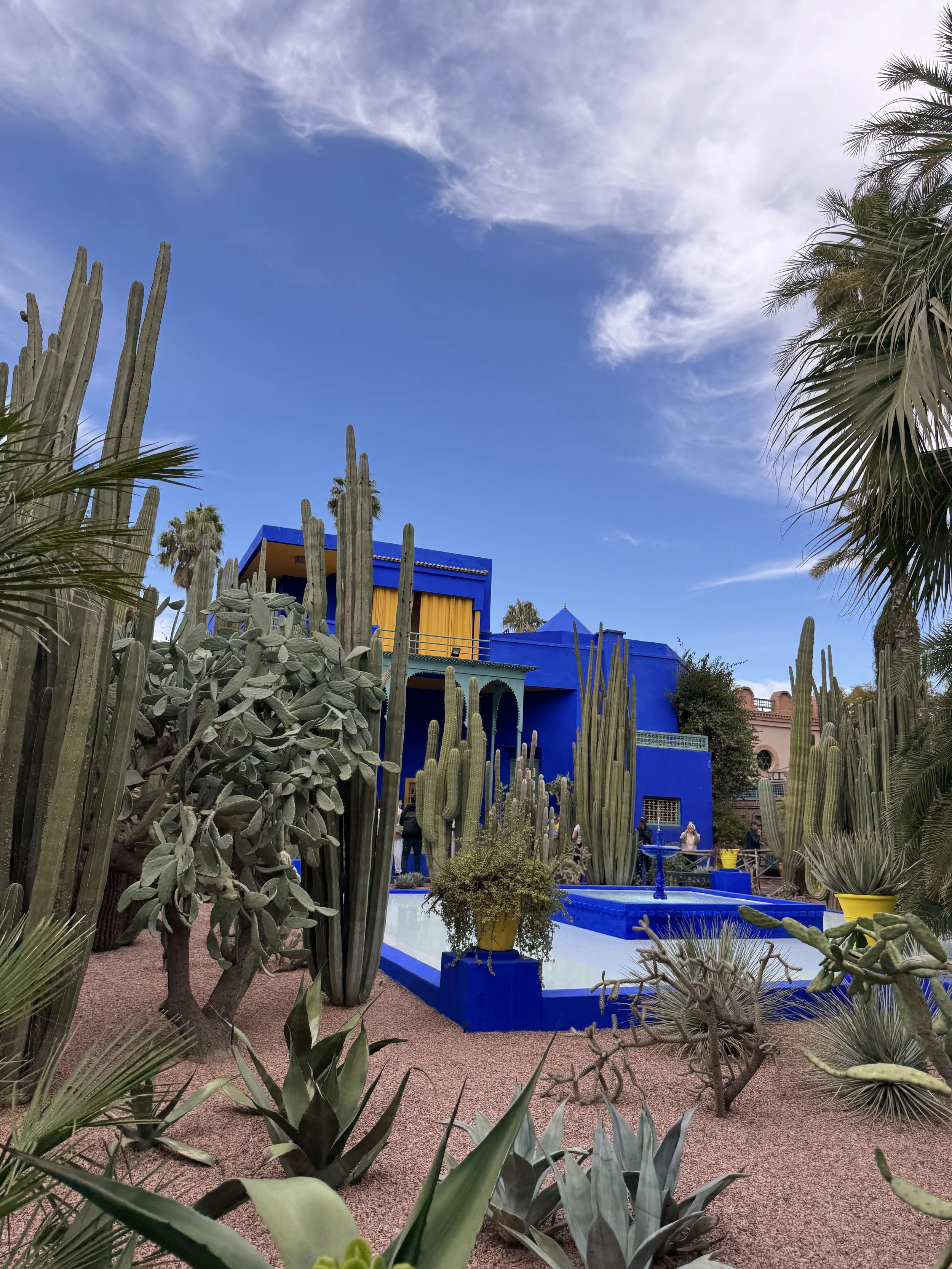 Jardin Majorelle, Marrakech with Kids