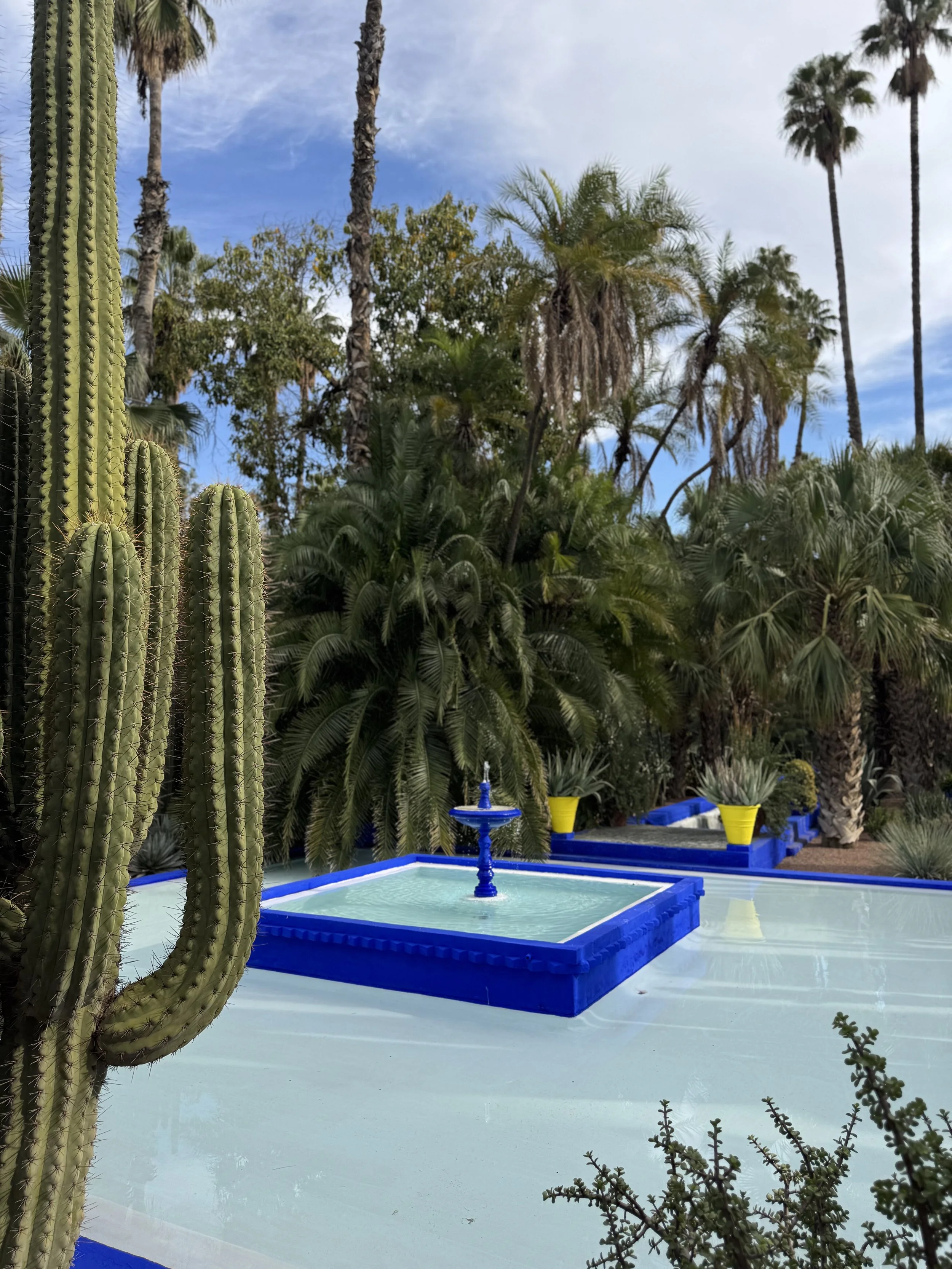 Jardin Majorelle, Marrakech with Kids