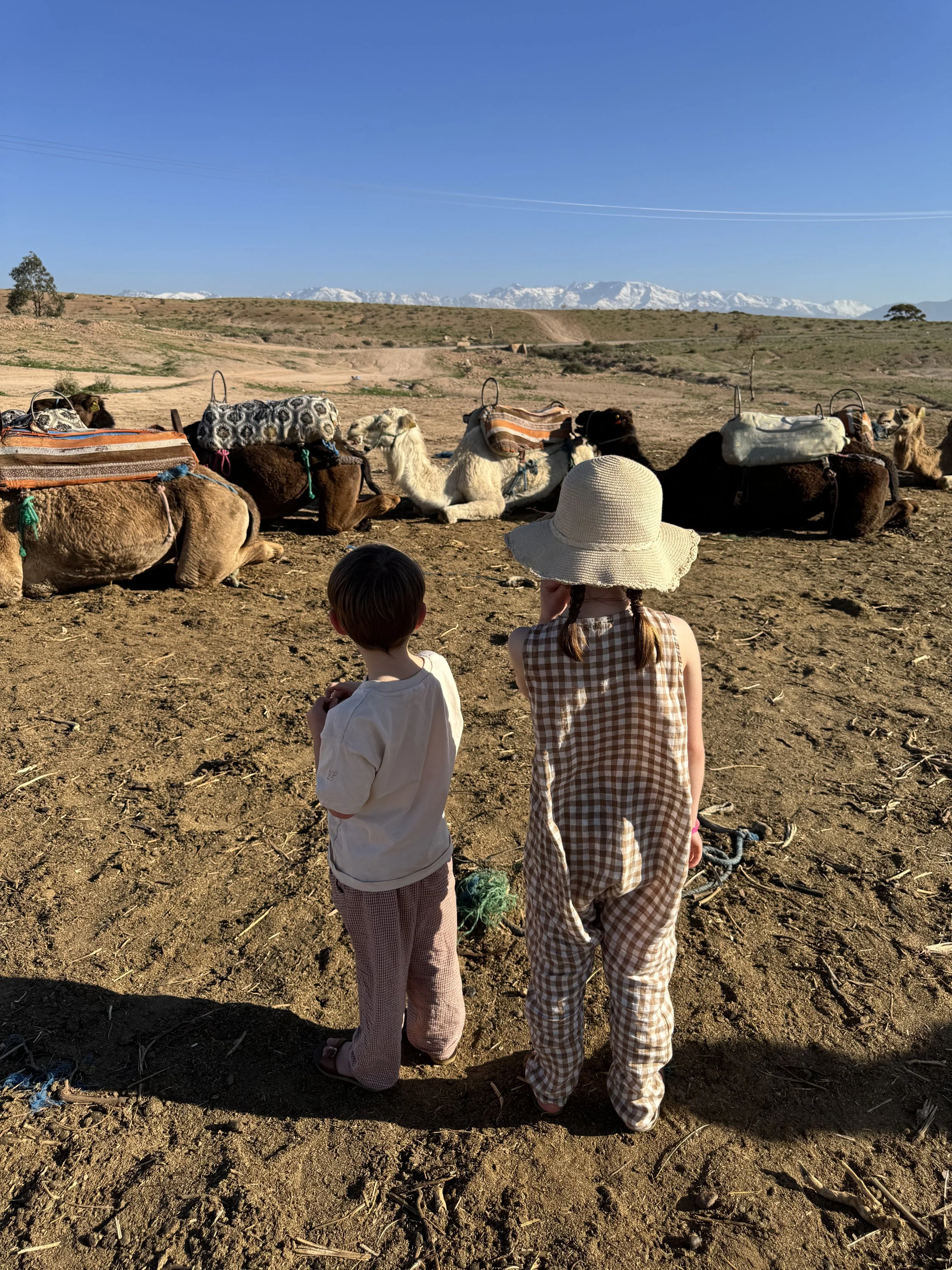Camels in the Agafay Desert, Marrakech with Kids