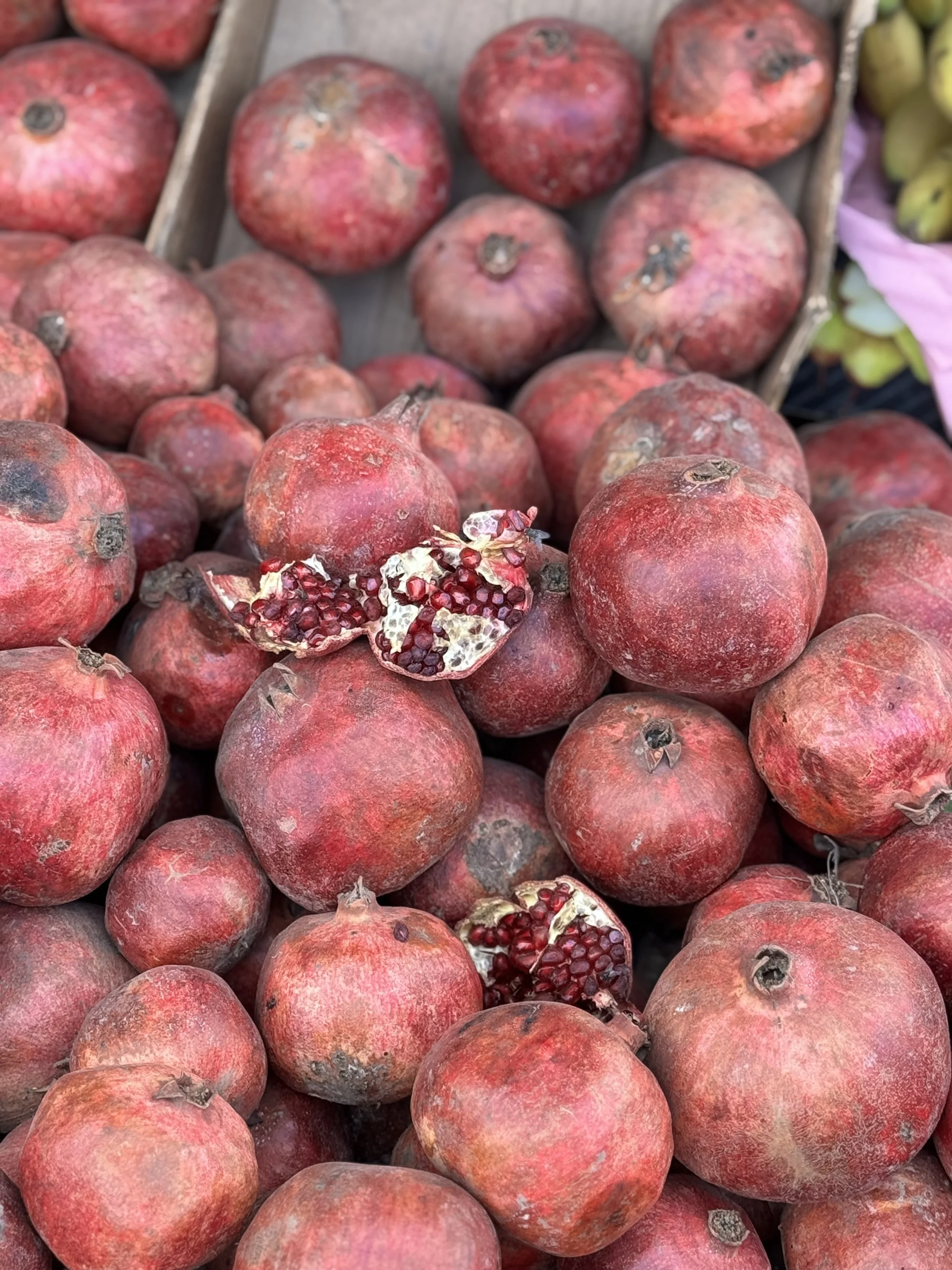 Pomegranates in Marrakech, Souks with Kids