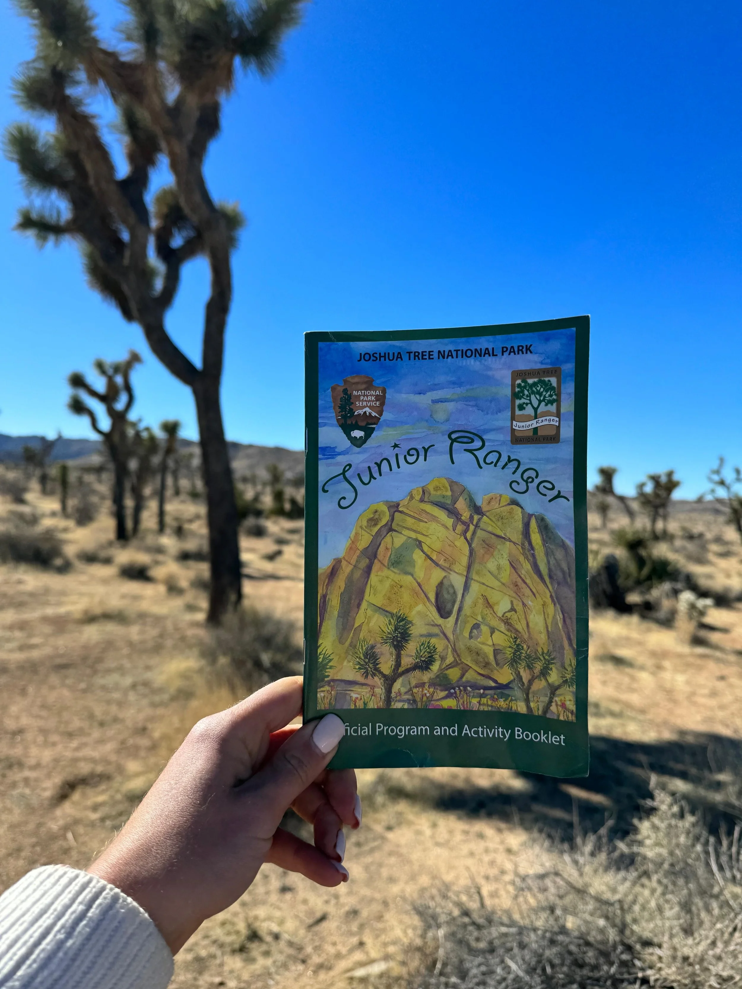 Joshua Tree Junior Ranger Program