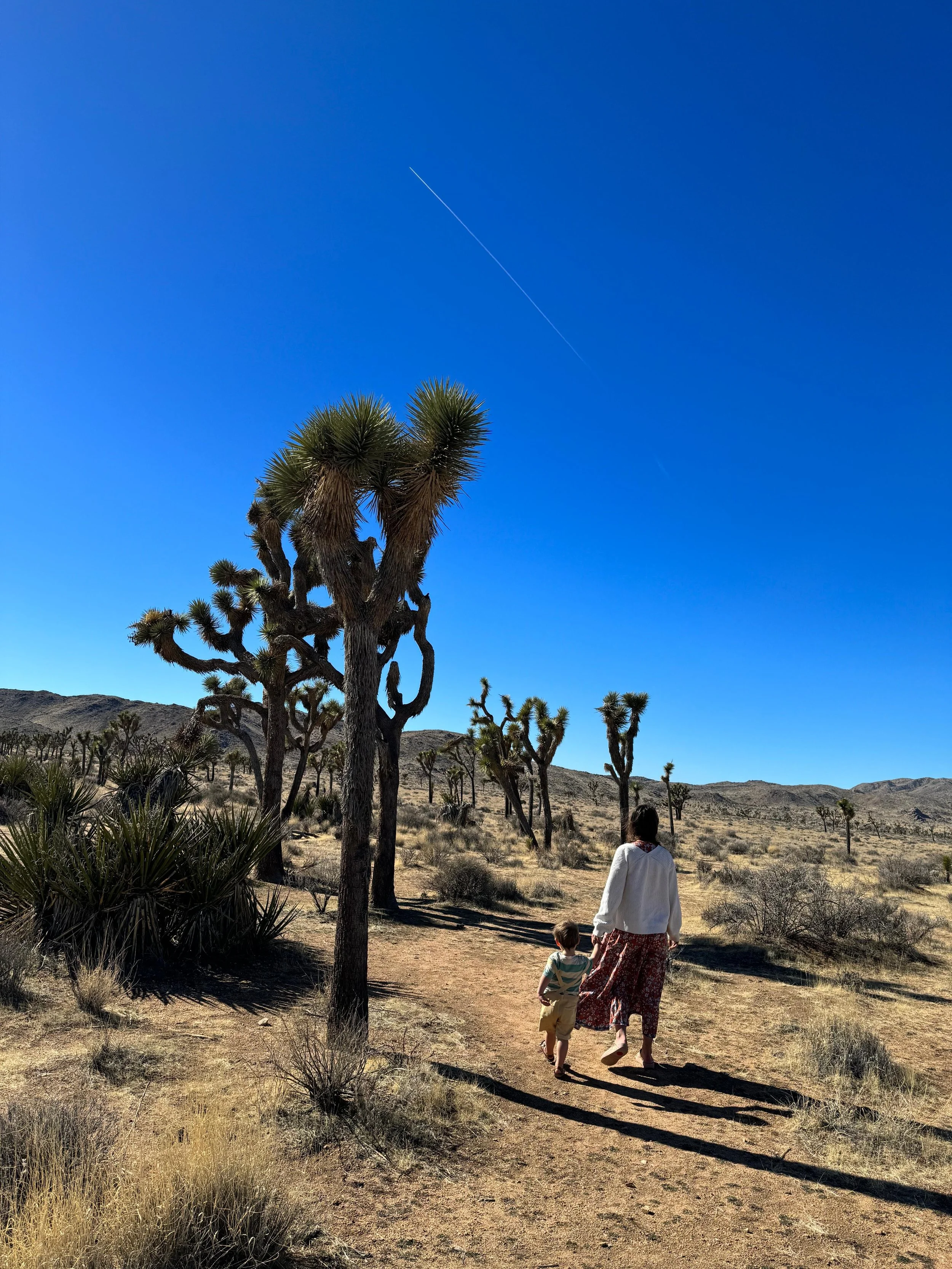 Toddler in Joshua Tree National Park