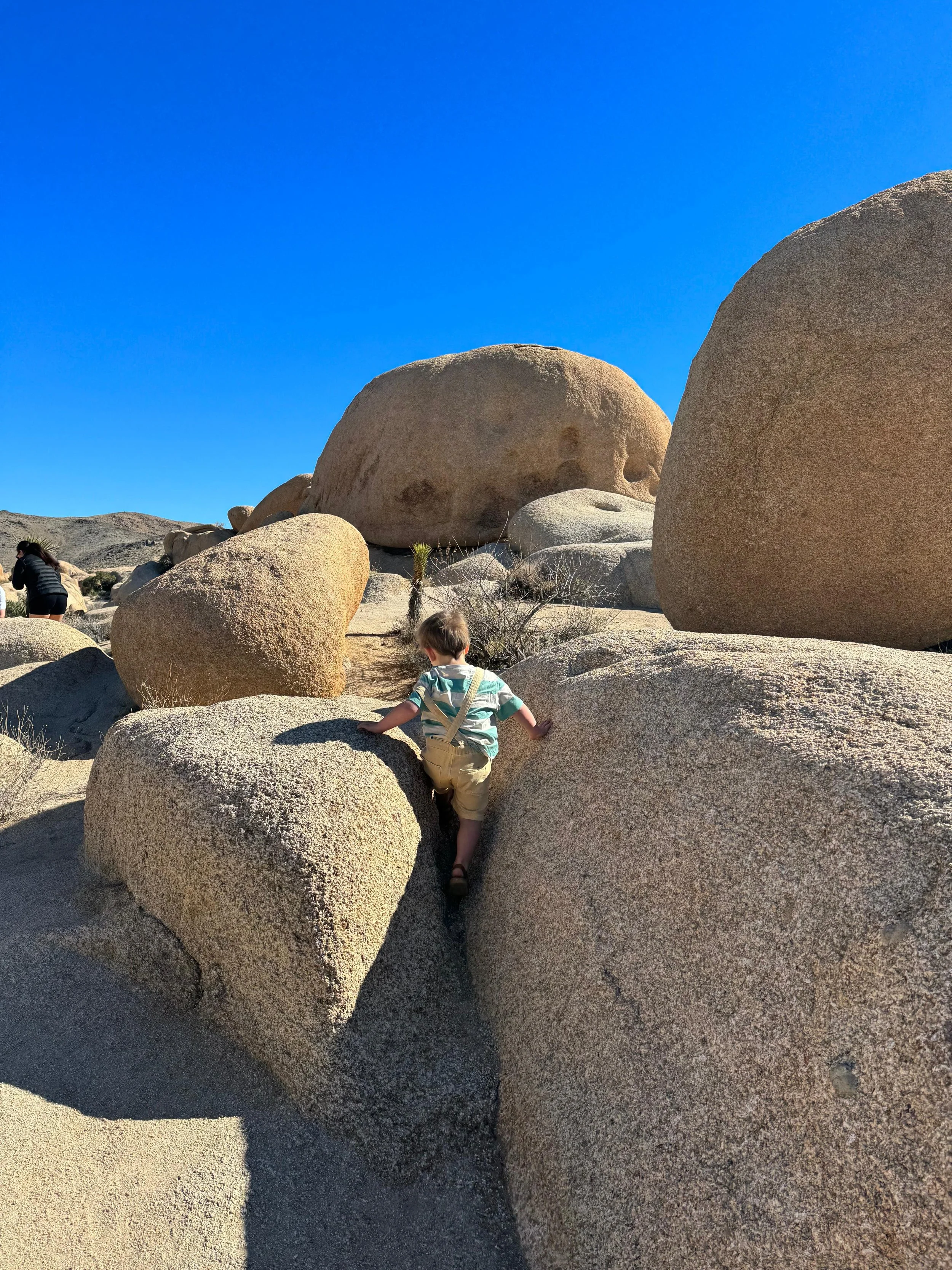 Kids Bouldering, Joshua Tree National Park