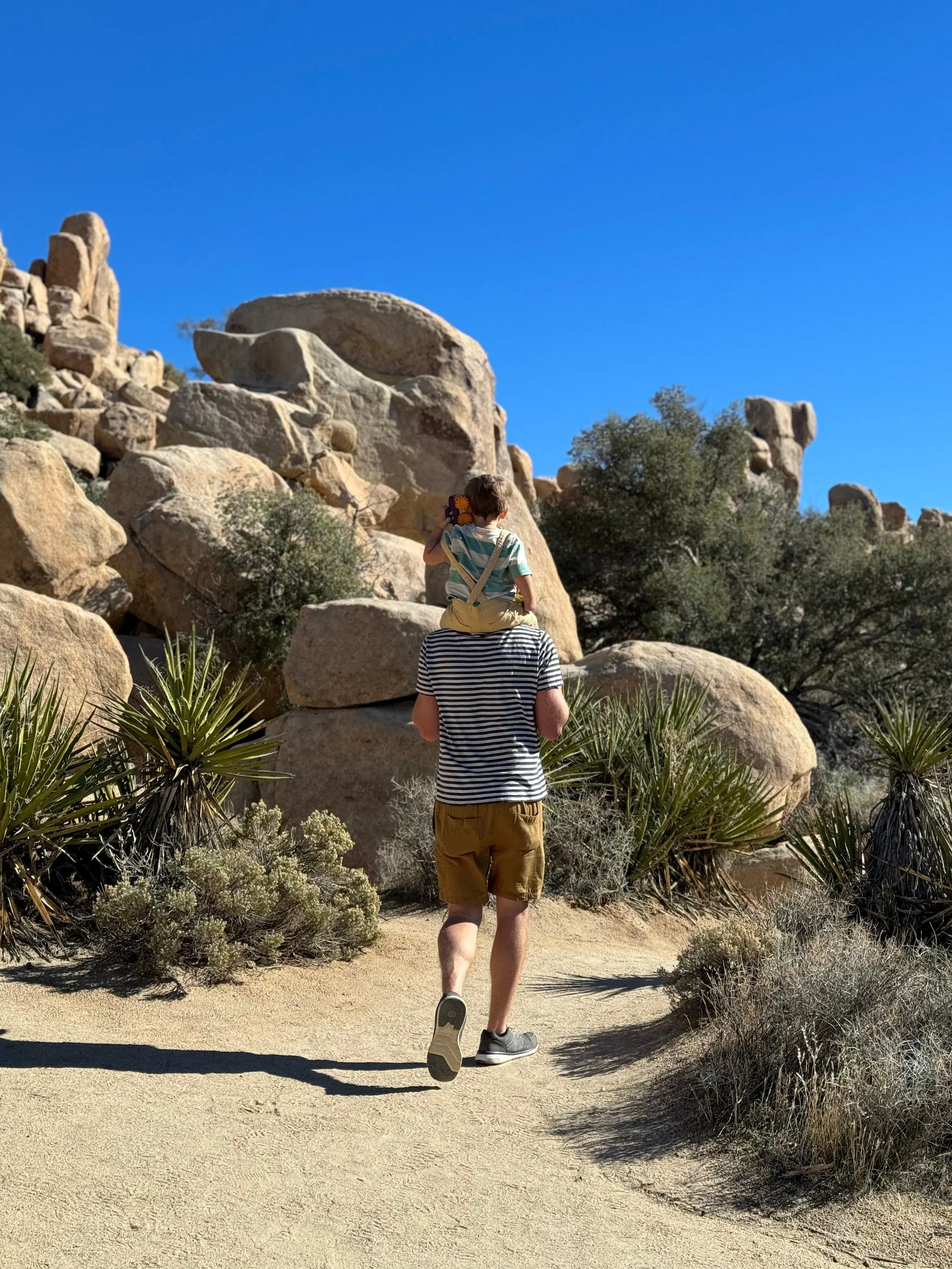 Hiking with kids reality, Joshua Tree National Park