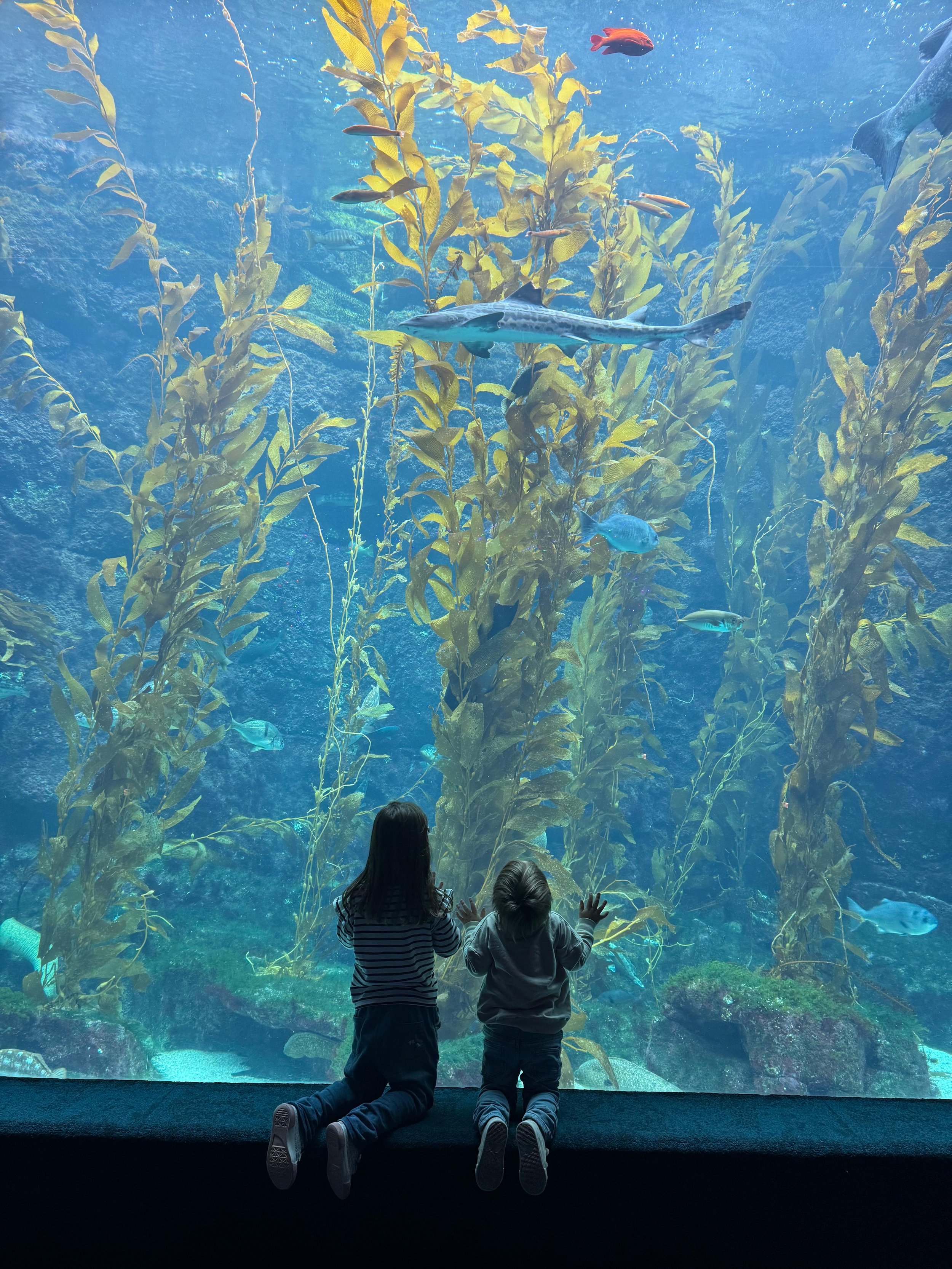 California With Kids Road Trip