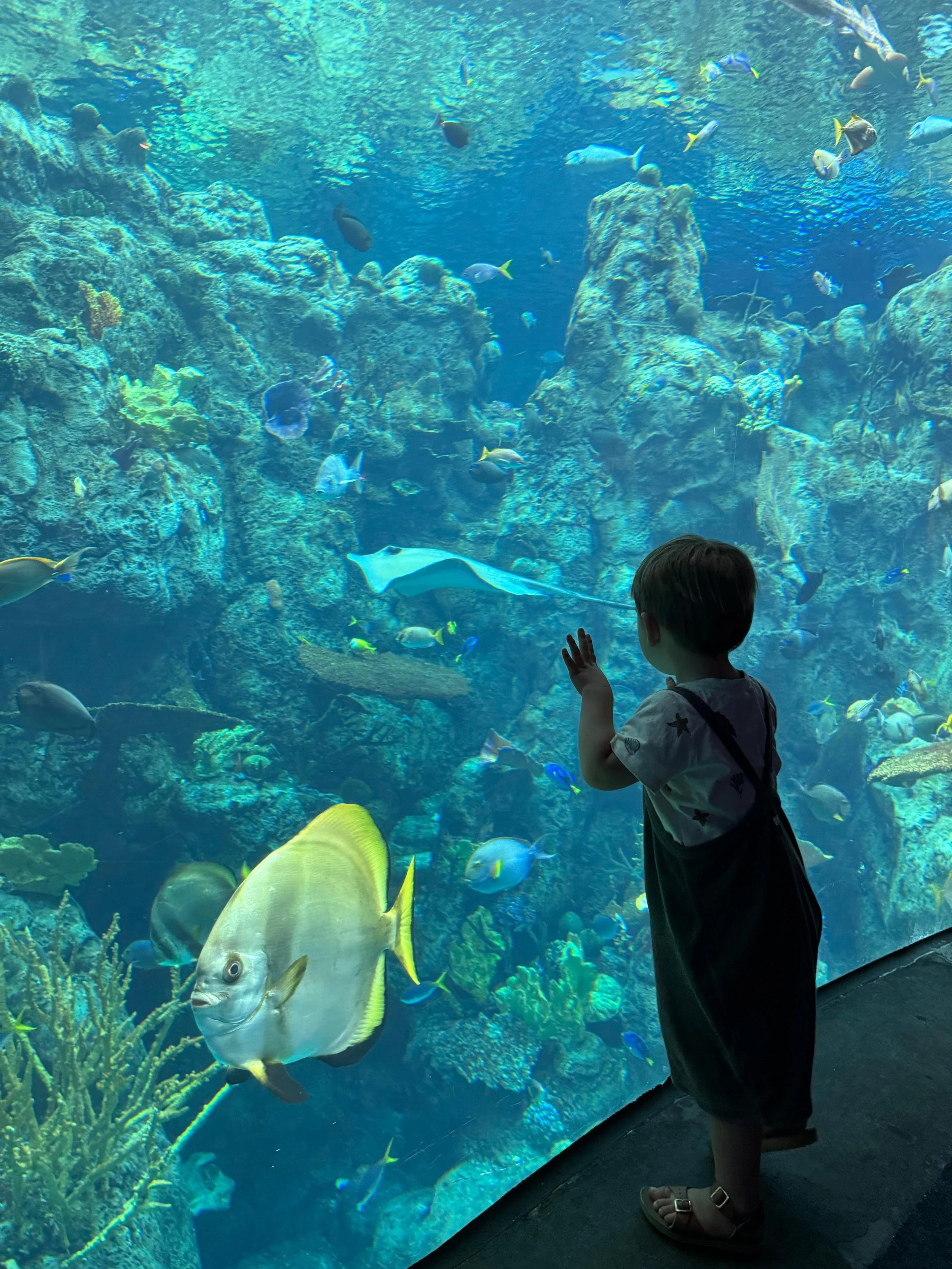 California With Kids Road Trip