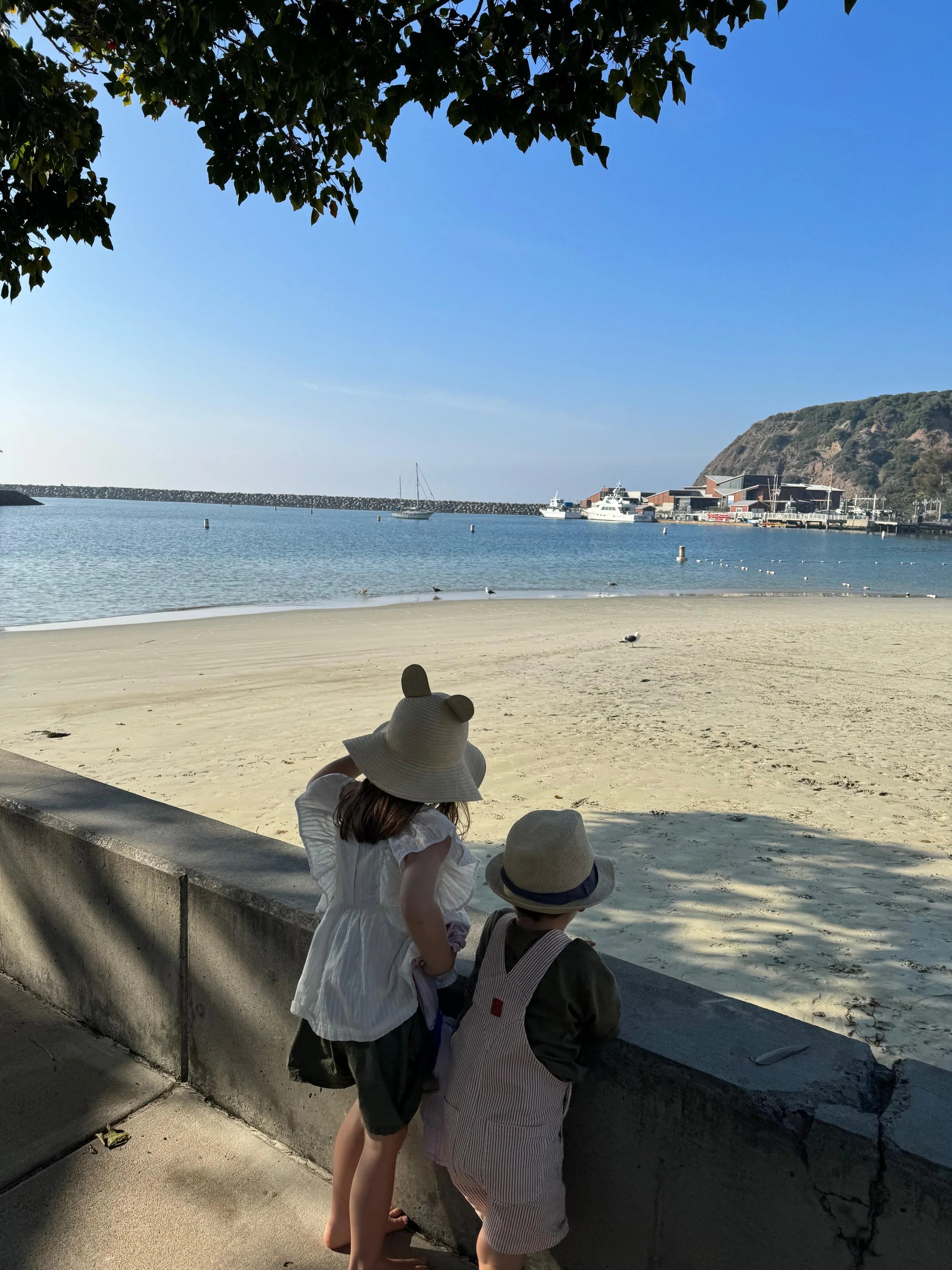 California With Kids Road Trip