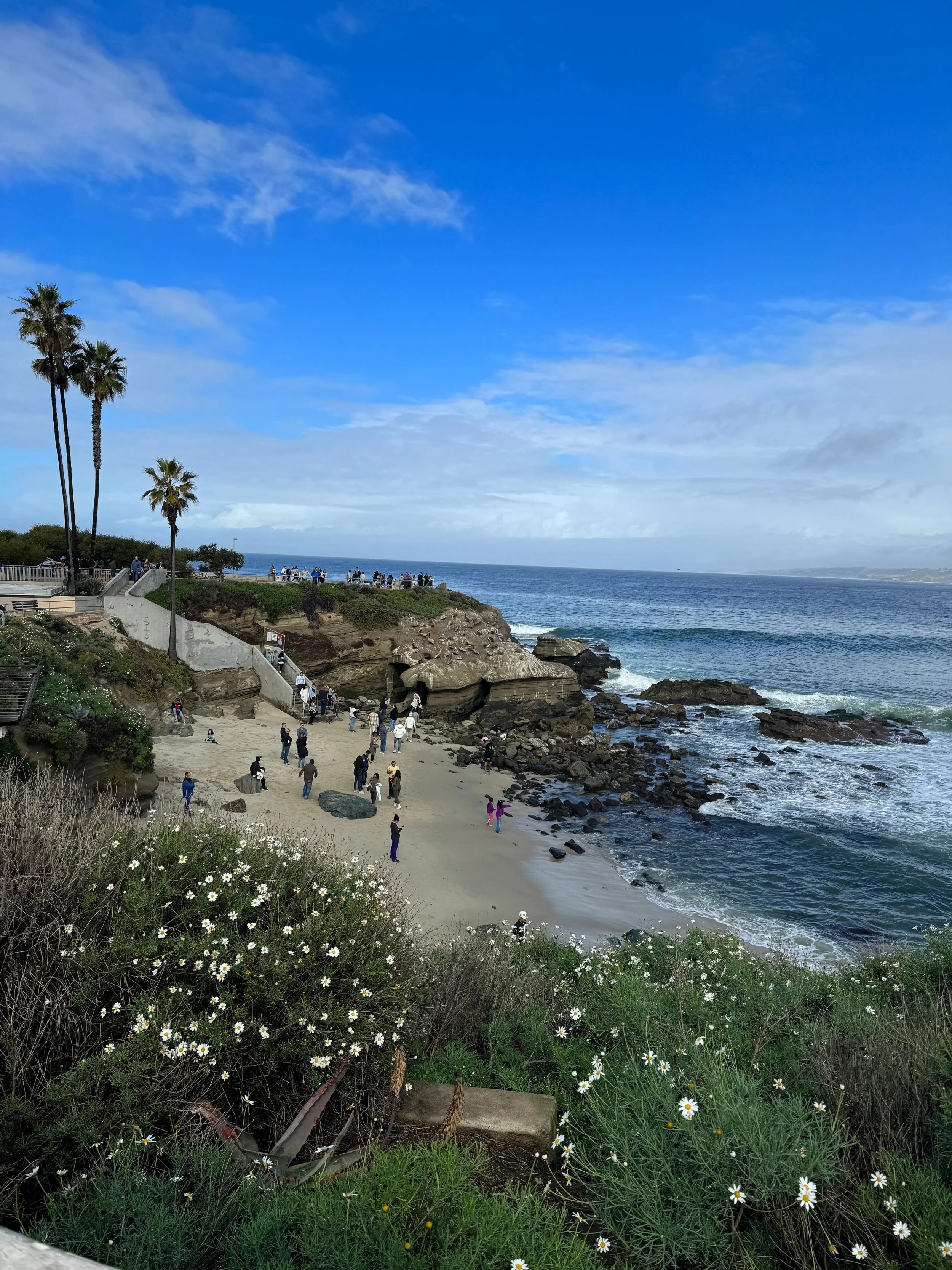California With Kids Road Trip