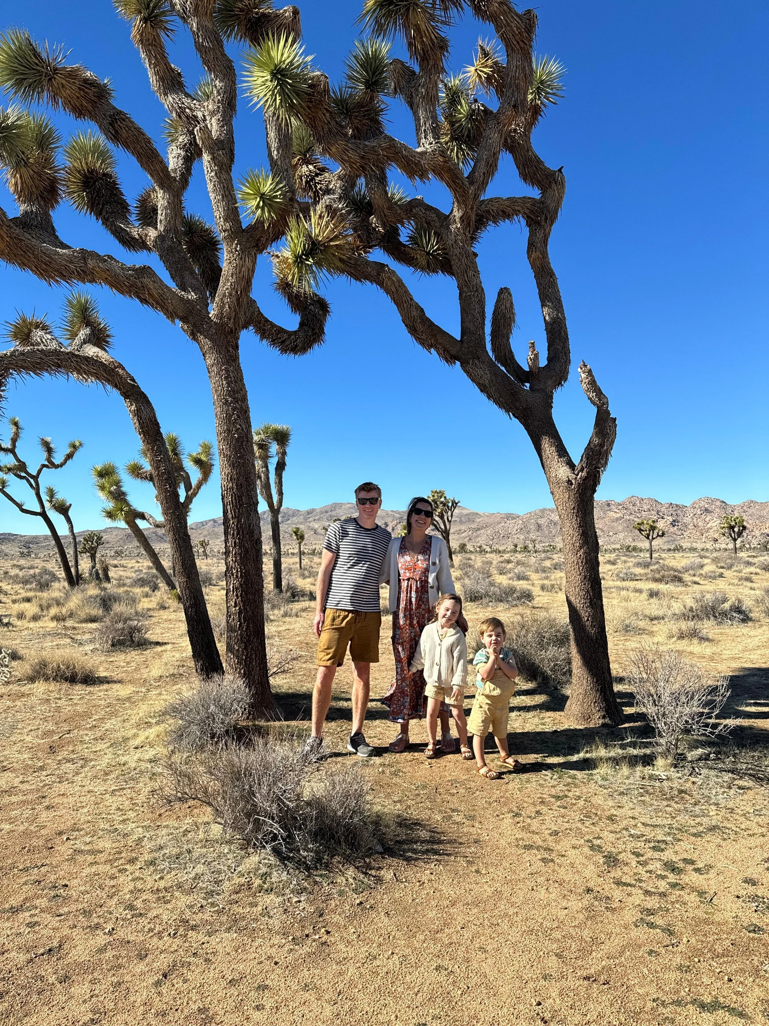 California With Kids Road Trip