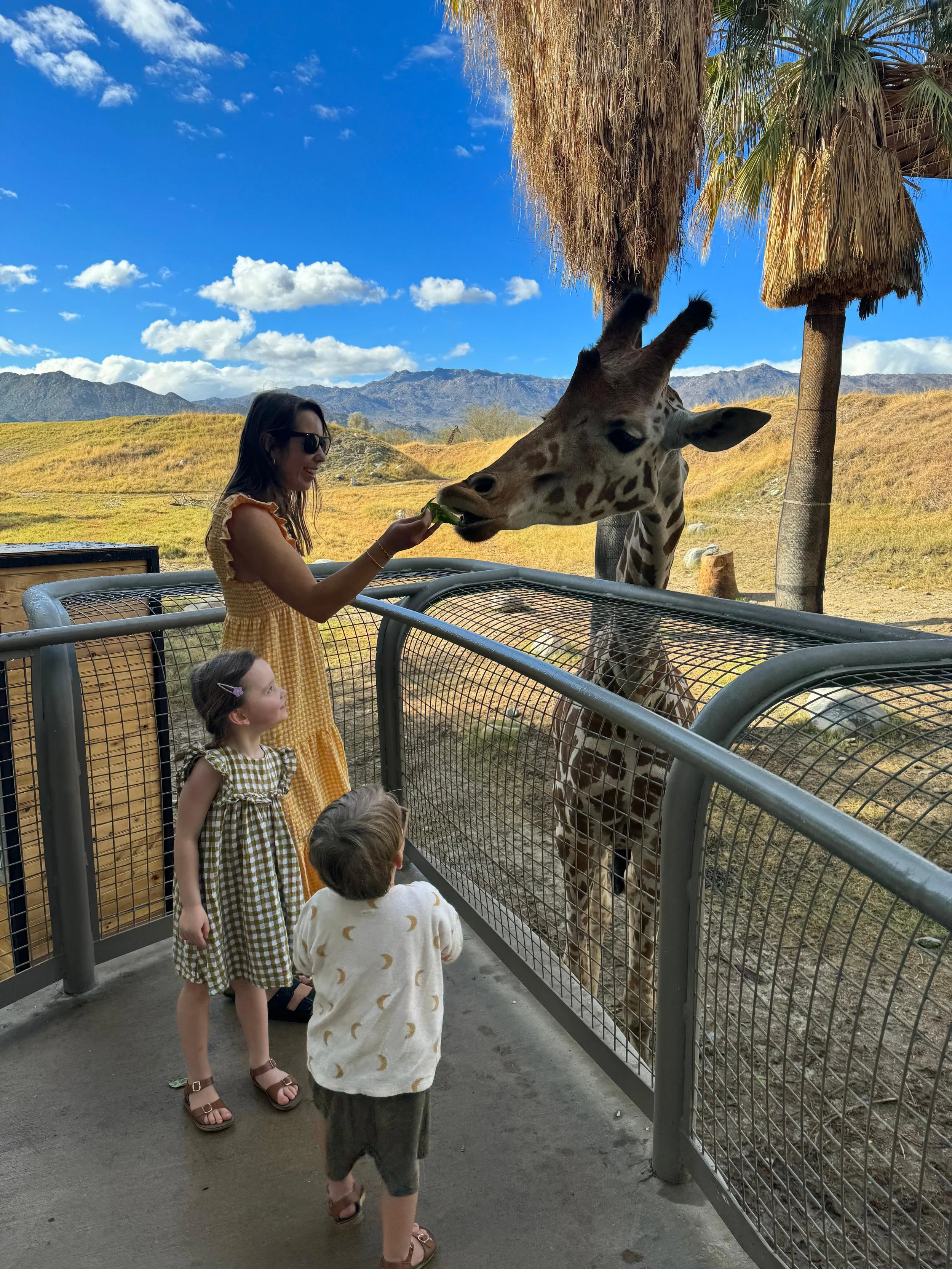 California With Kids Road Trip
