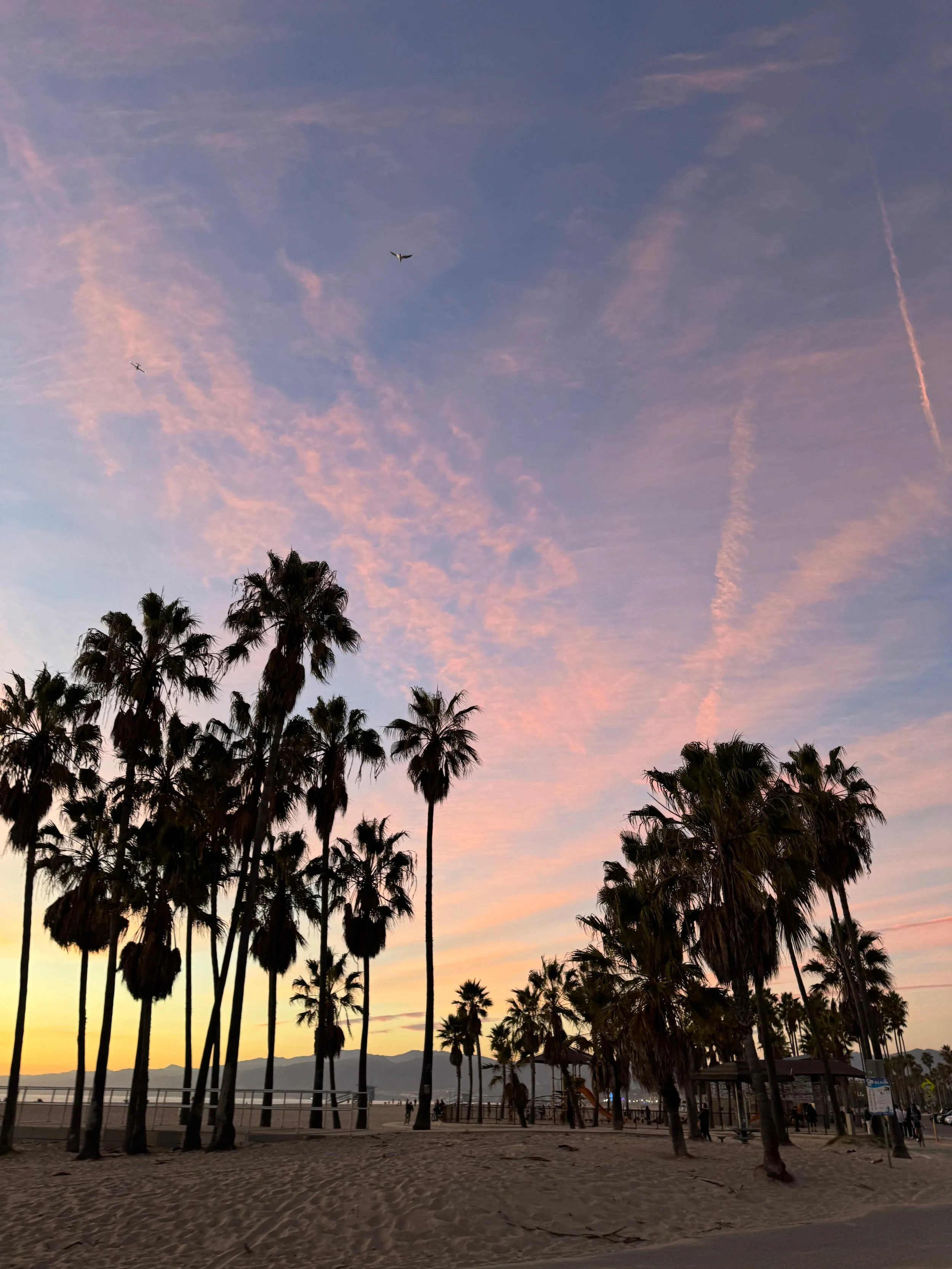 California With Kids Road Trip
