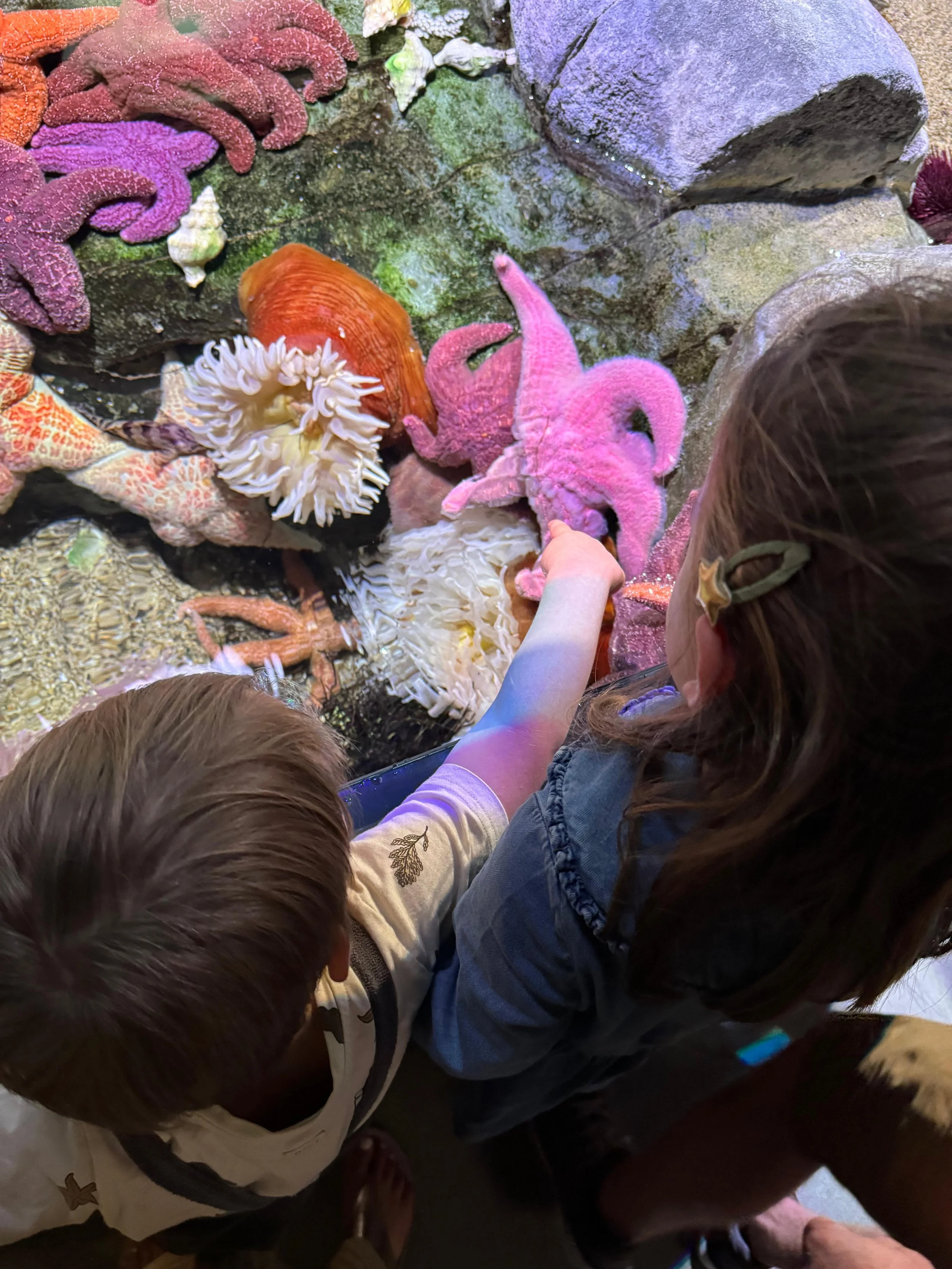 California With Kids Road Trip
