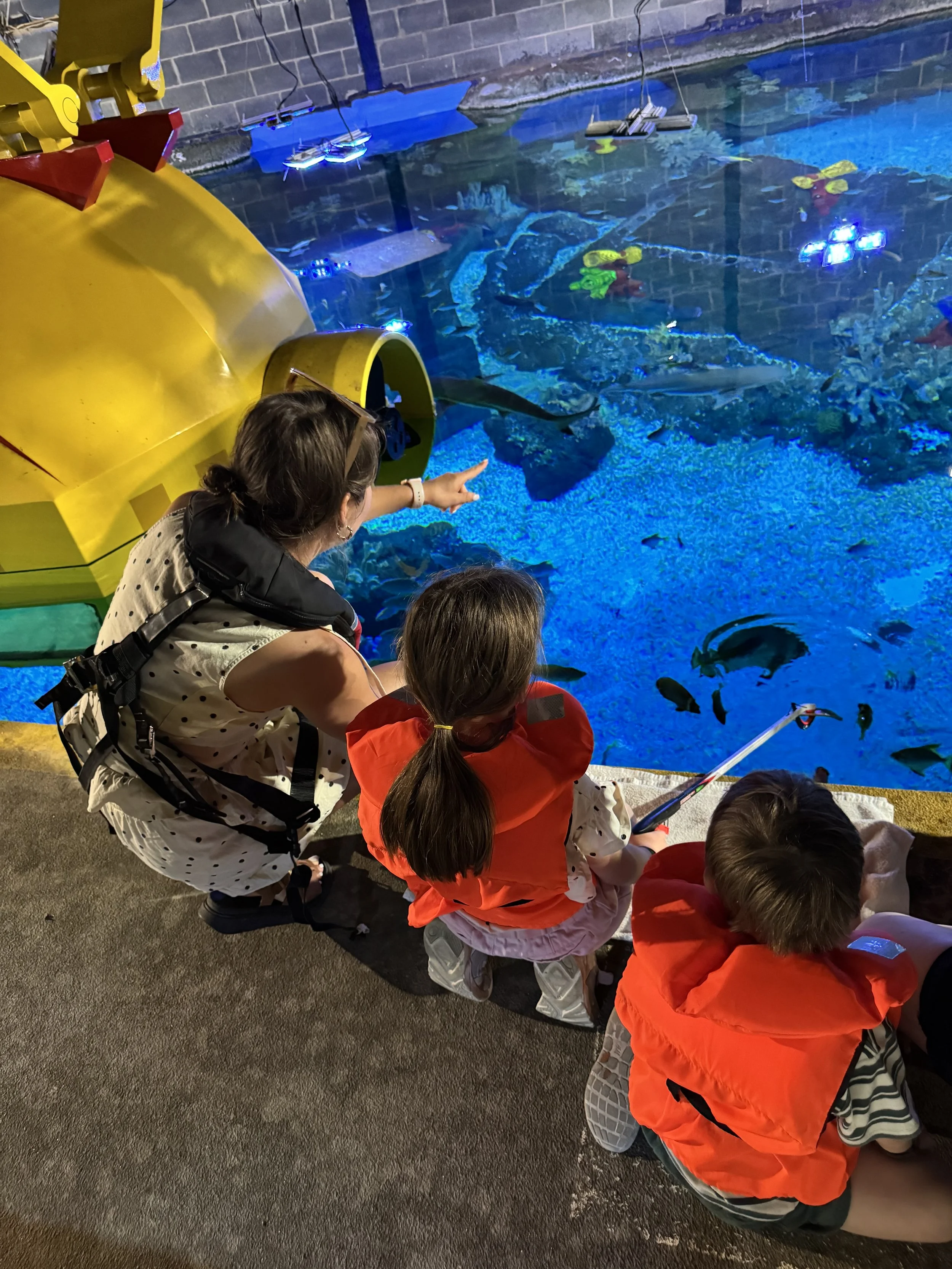 Legoland Windsor Day Out, VIP Shark Feeding Experience