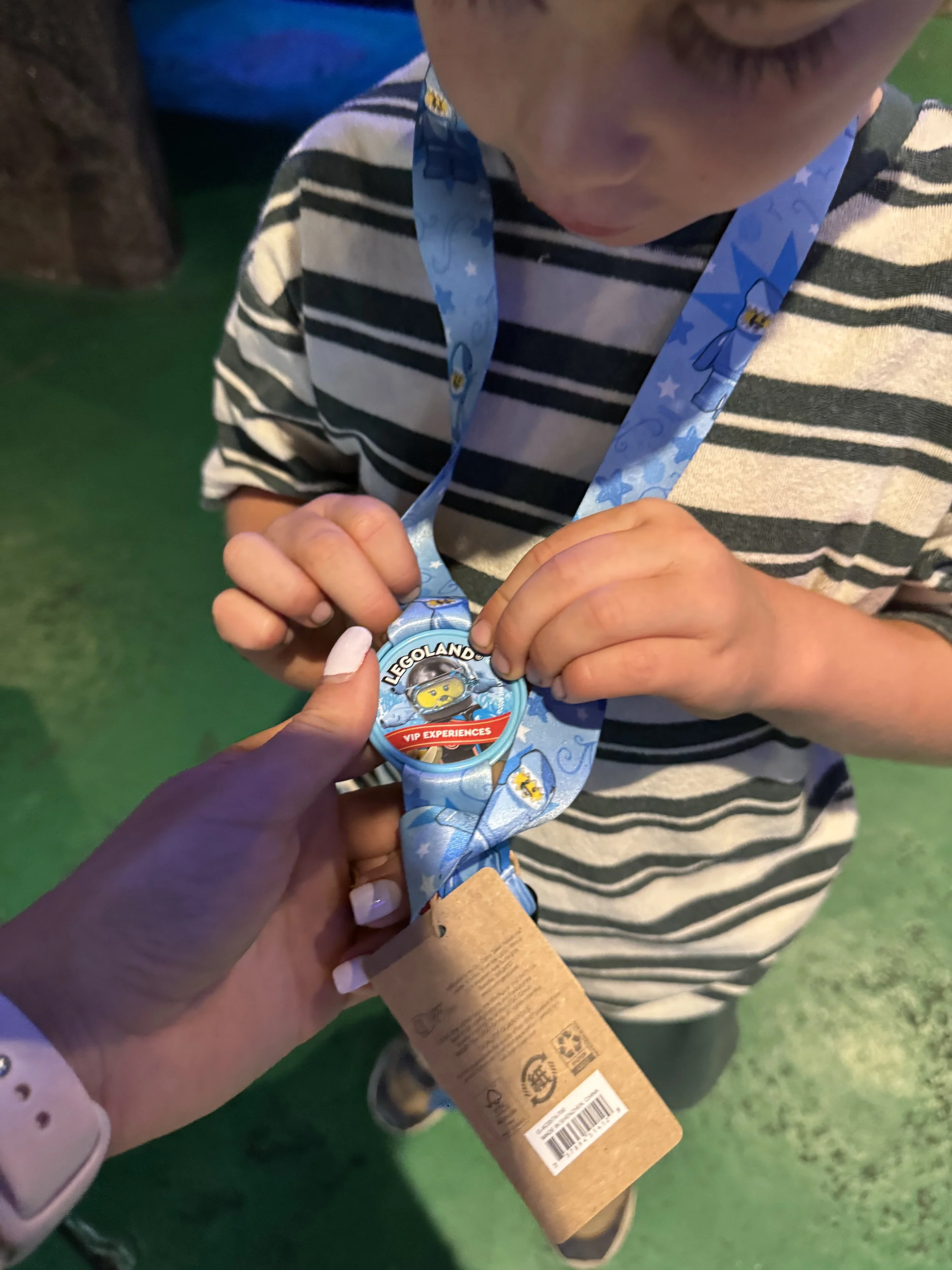 Legoland Windsor Day Out, VIP Shark Feeding Experience