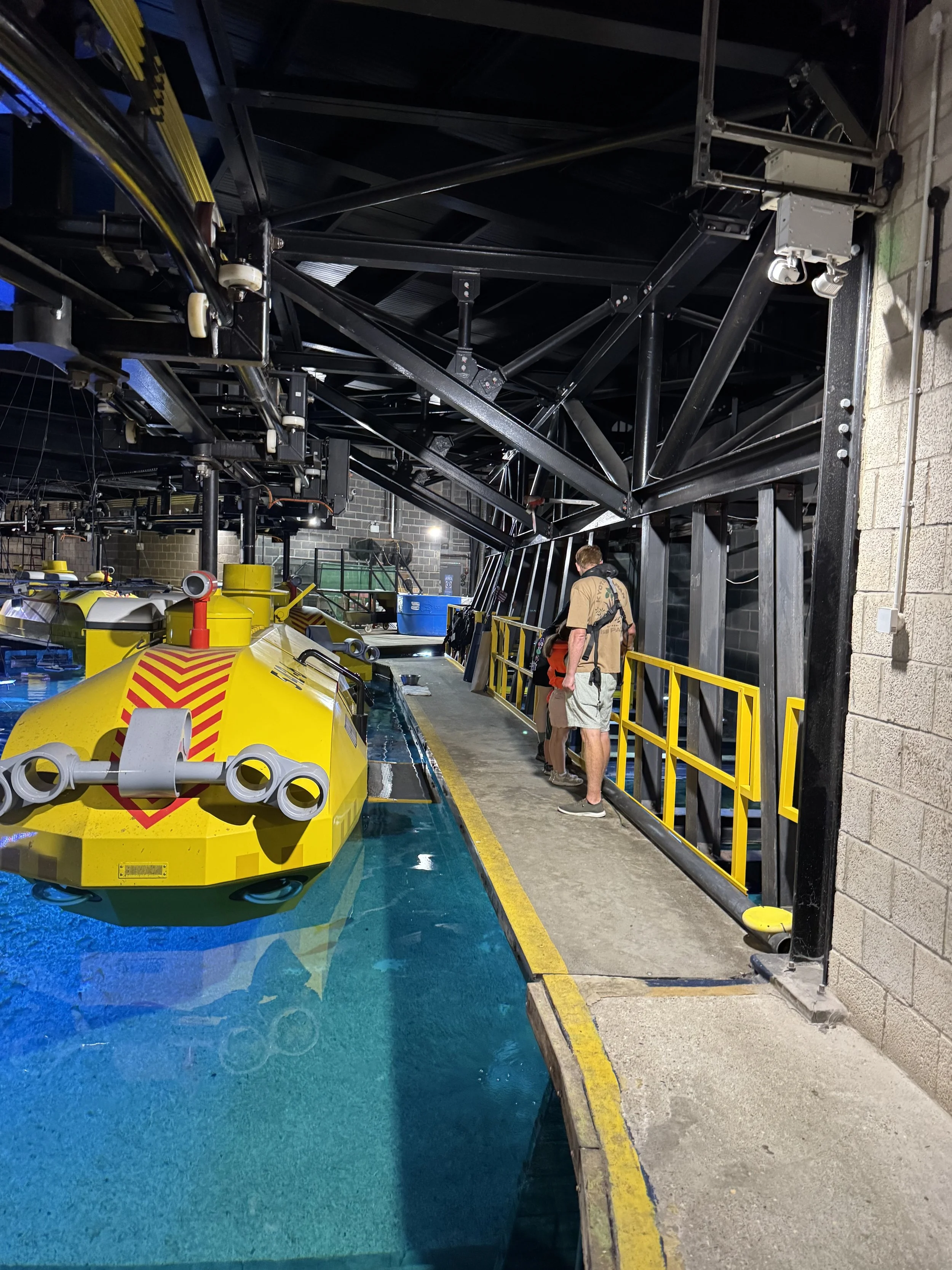 Legoland Windsor Day Out, VIP Shark Feeding Experience
