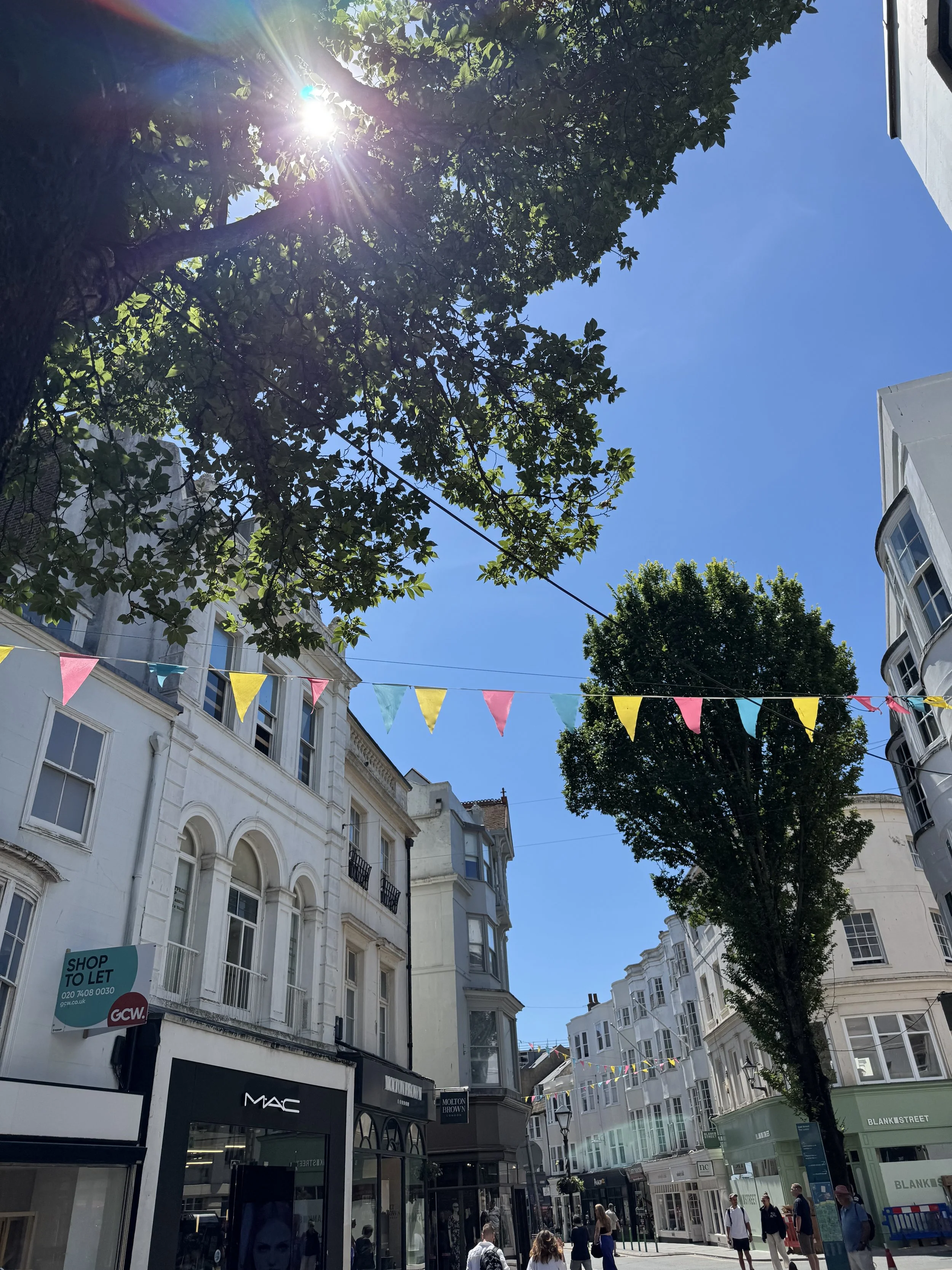no-124-brighton-seafront-lanes