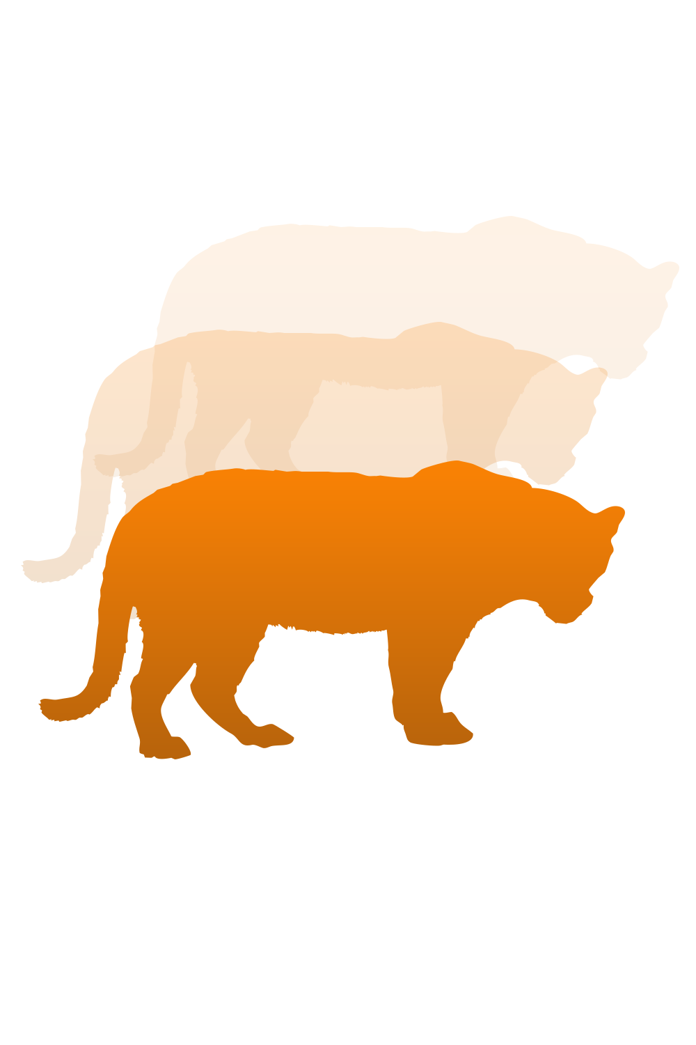 “We don’t create content. We make people act” with tiger silhouettes and “Clarity wins. Everything else fades.”