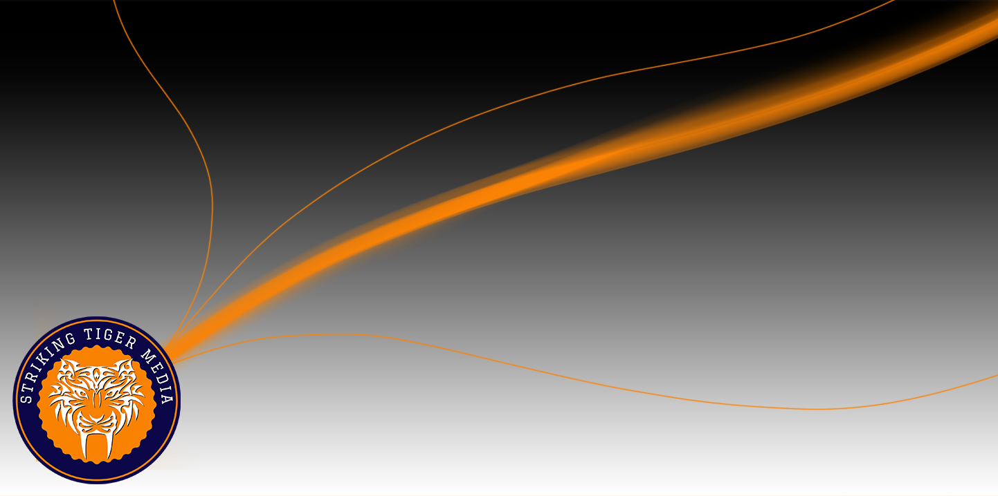 Abstract orange graphic with Striking Tiger logo and “Why Striking Tiger” section highlighting clarity, strategy, and execution that performs.