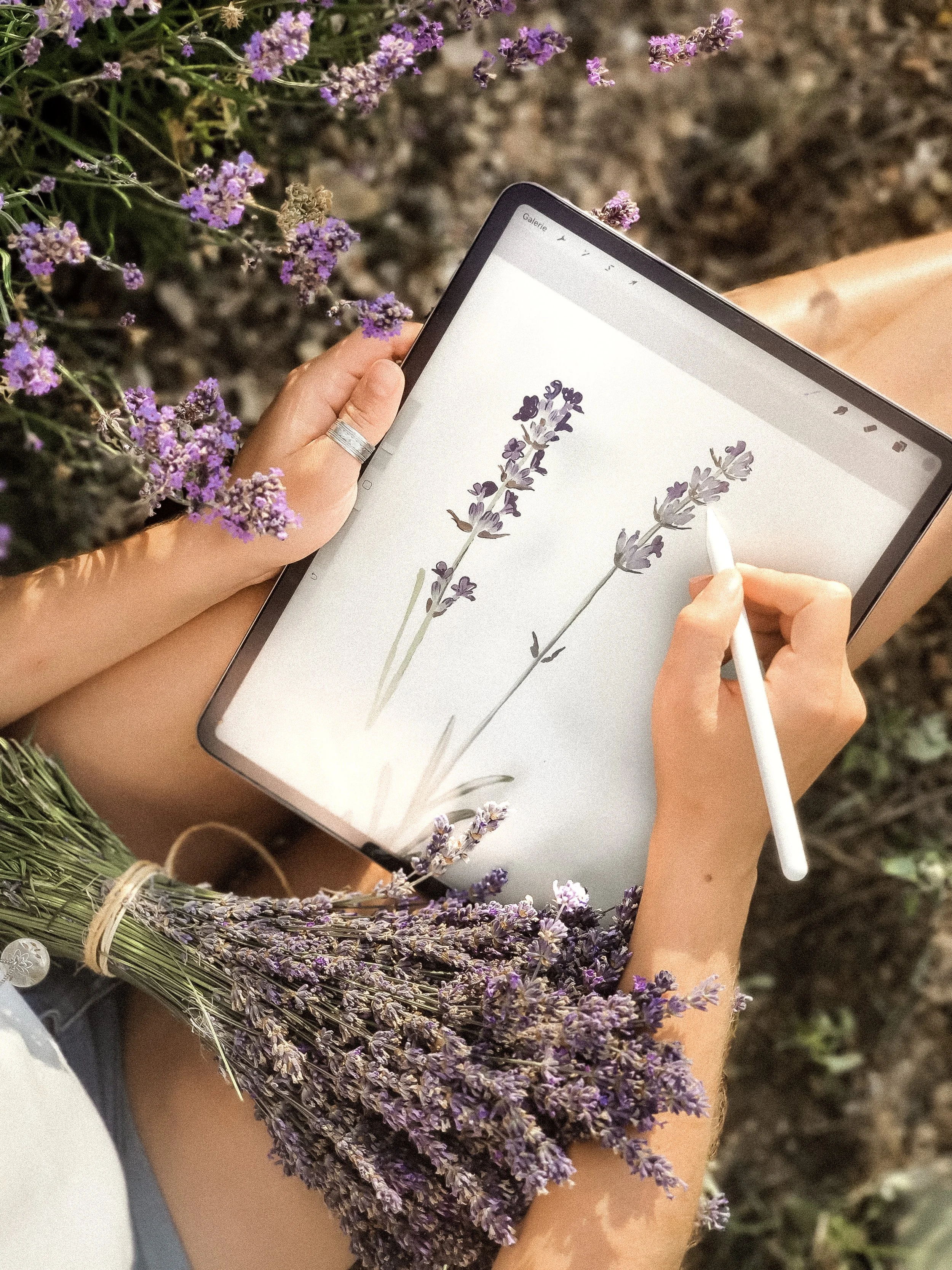 Shooting Lavendel-4.jpg