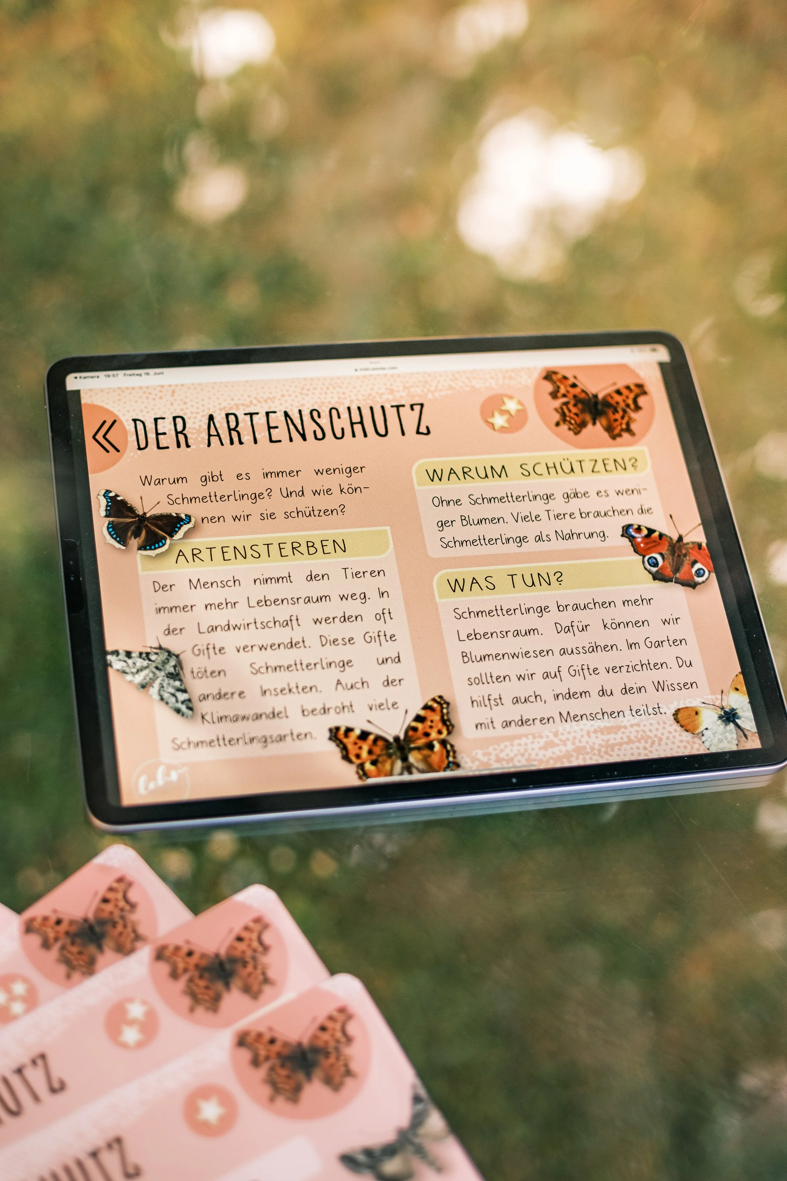 schmetterlinge kartei-1.jpg