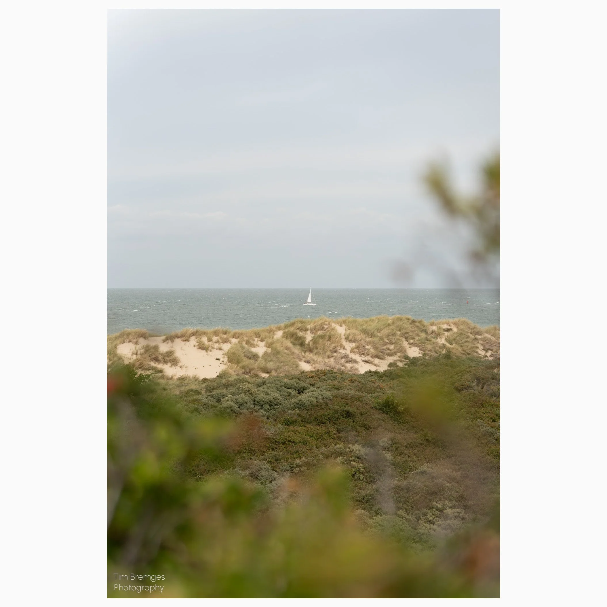 Vrouwenpolder Küste