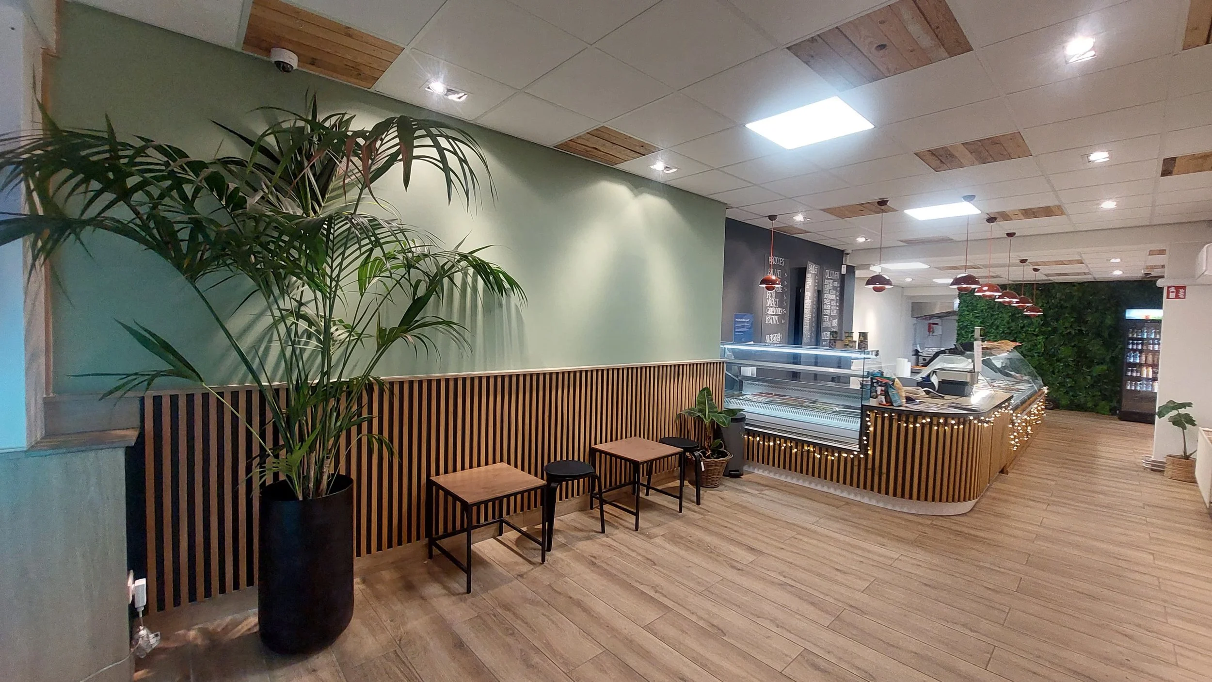 Interieur van een moderne ijssalon met houten vloer, een toonbank met glazen vitrine en kleurrijke hanglampen. Er staan kleine tafeltjes en een plantenpot met een grote plant tegen een mintgroene muur.