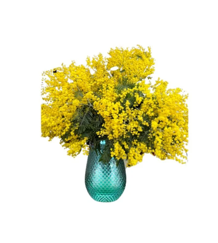 Mimosa Medium Bouquet