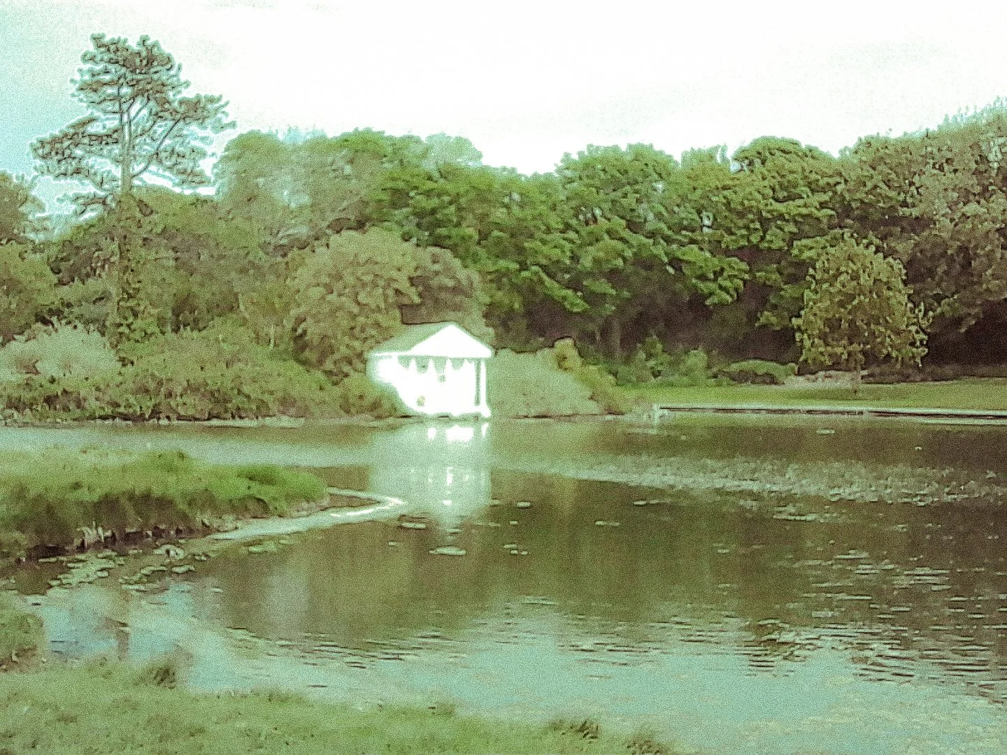PICT0212.jpg
