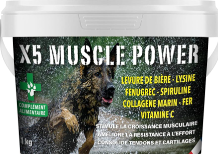 X5 Muscle Power 1K