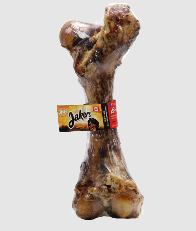 Femur De Boeuf