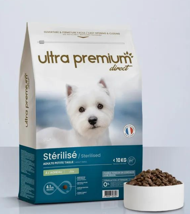 Chien Stérilisé Petite Taille