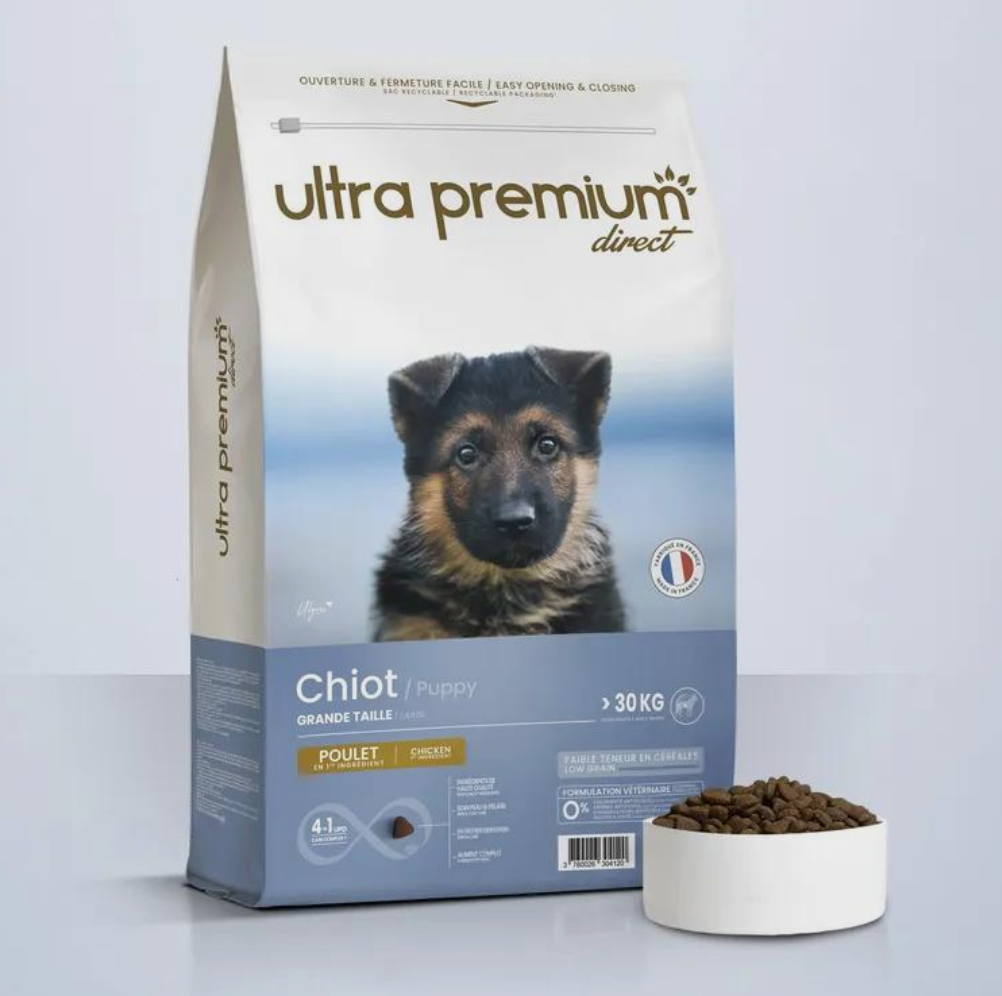 Chiot Grande Taille