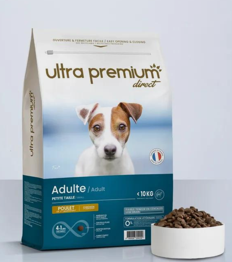 Chien Adulte Petite Taille