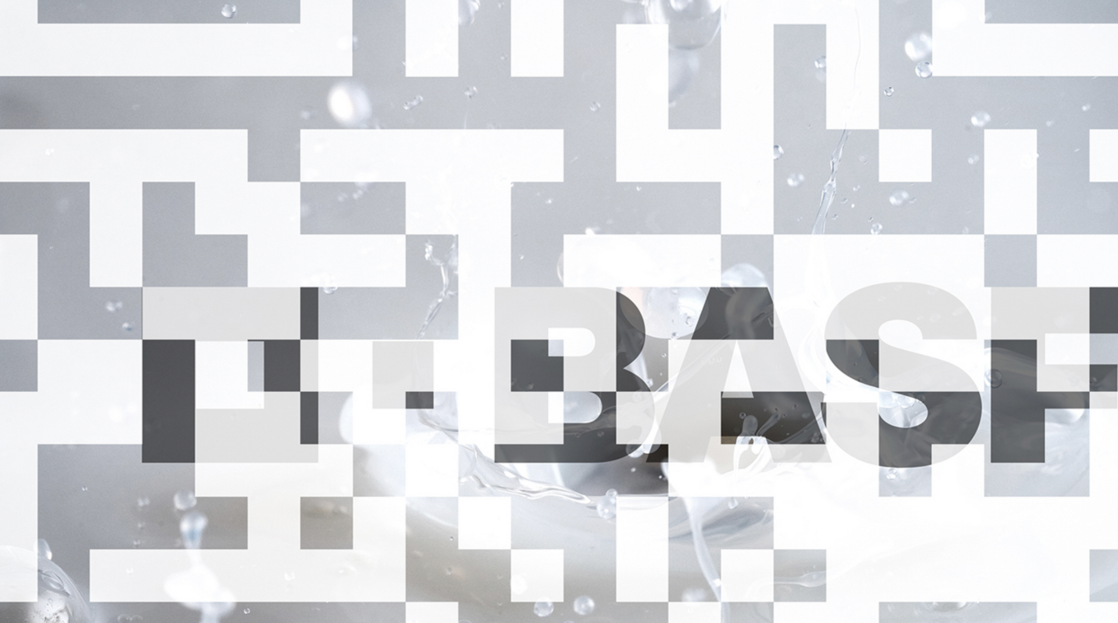 BASF Visual