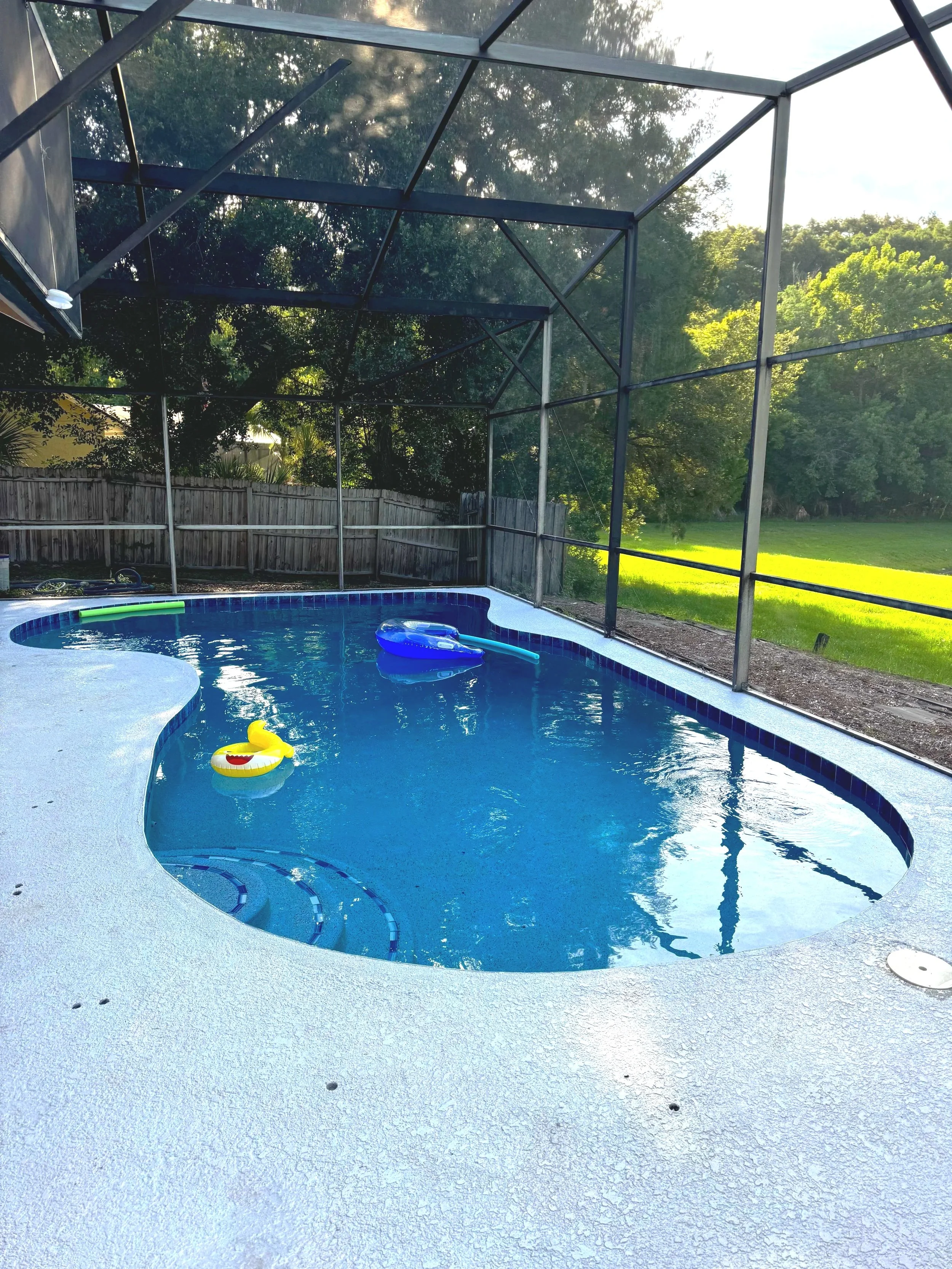 An empty backyard swimming pool with inflatable toys floating on the water, enclosed by a screened structure, with a grassy yard and trees in the background.