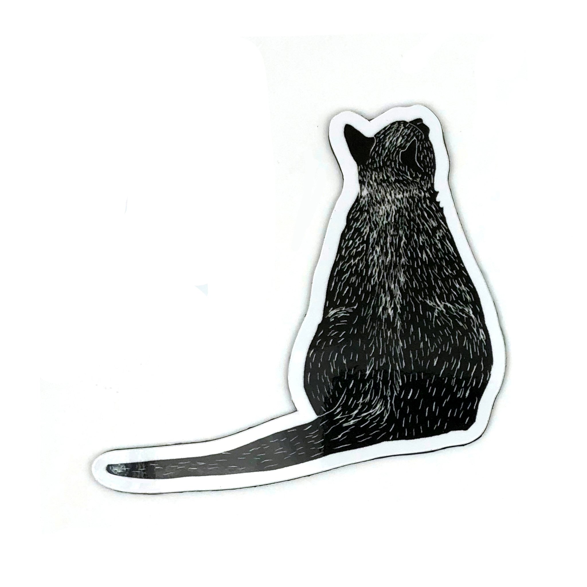 MAGNETS - CATS ALL.jpg