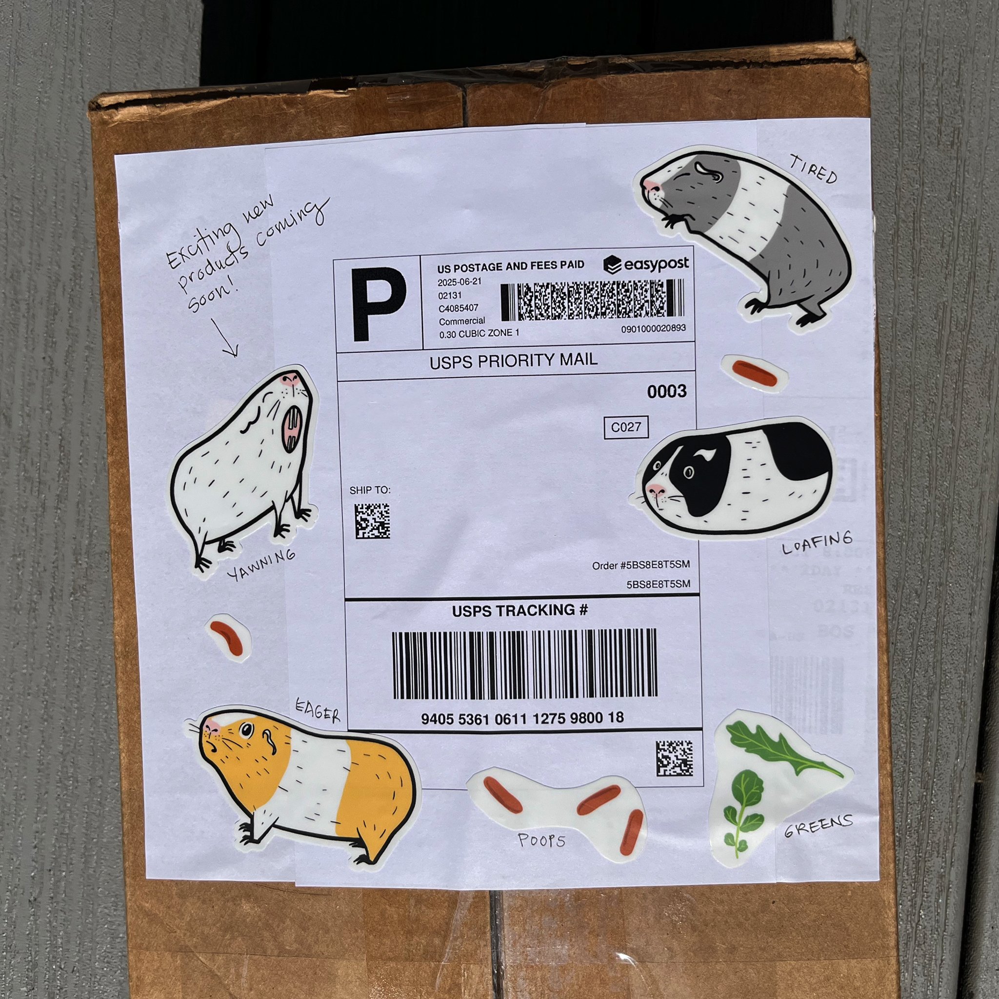 TEMPLATE - SQUARESPACE AND SHOPIFY GUINEA PIG STICKERS ON BOX.jpg