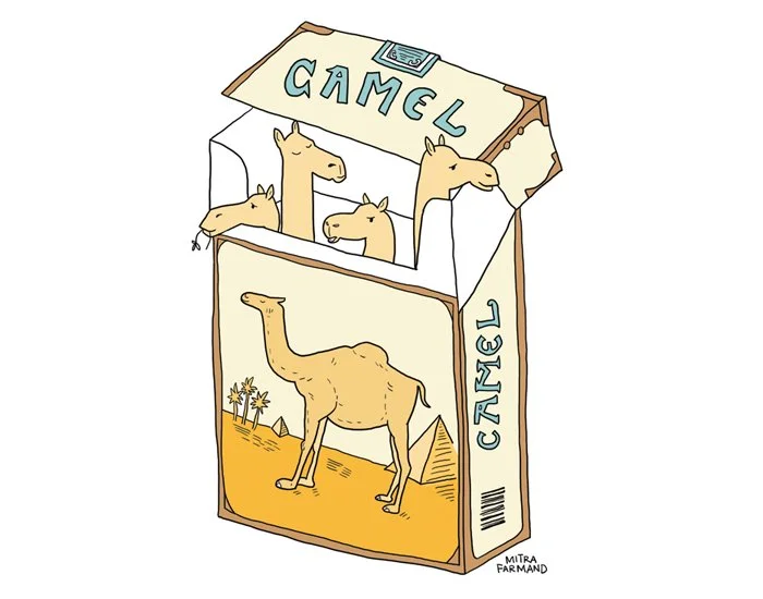 camel cigarettes.jpg