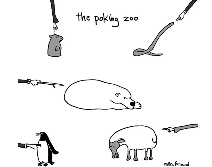 poking zoo.jpg