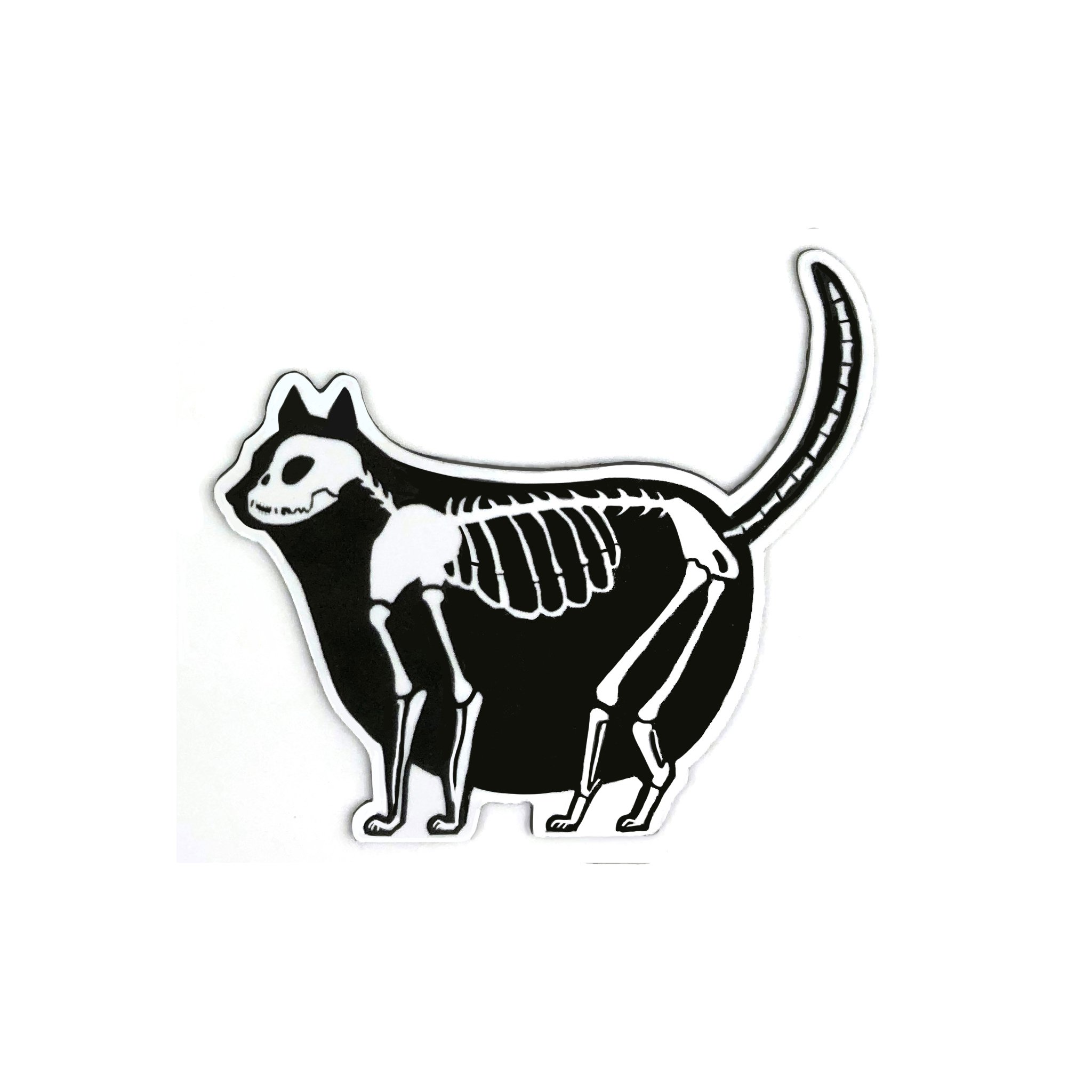 MAGNETS - CATS ALL.jpg