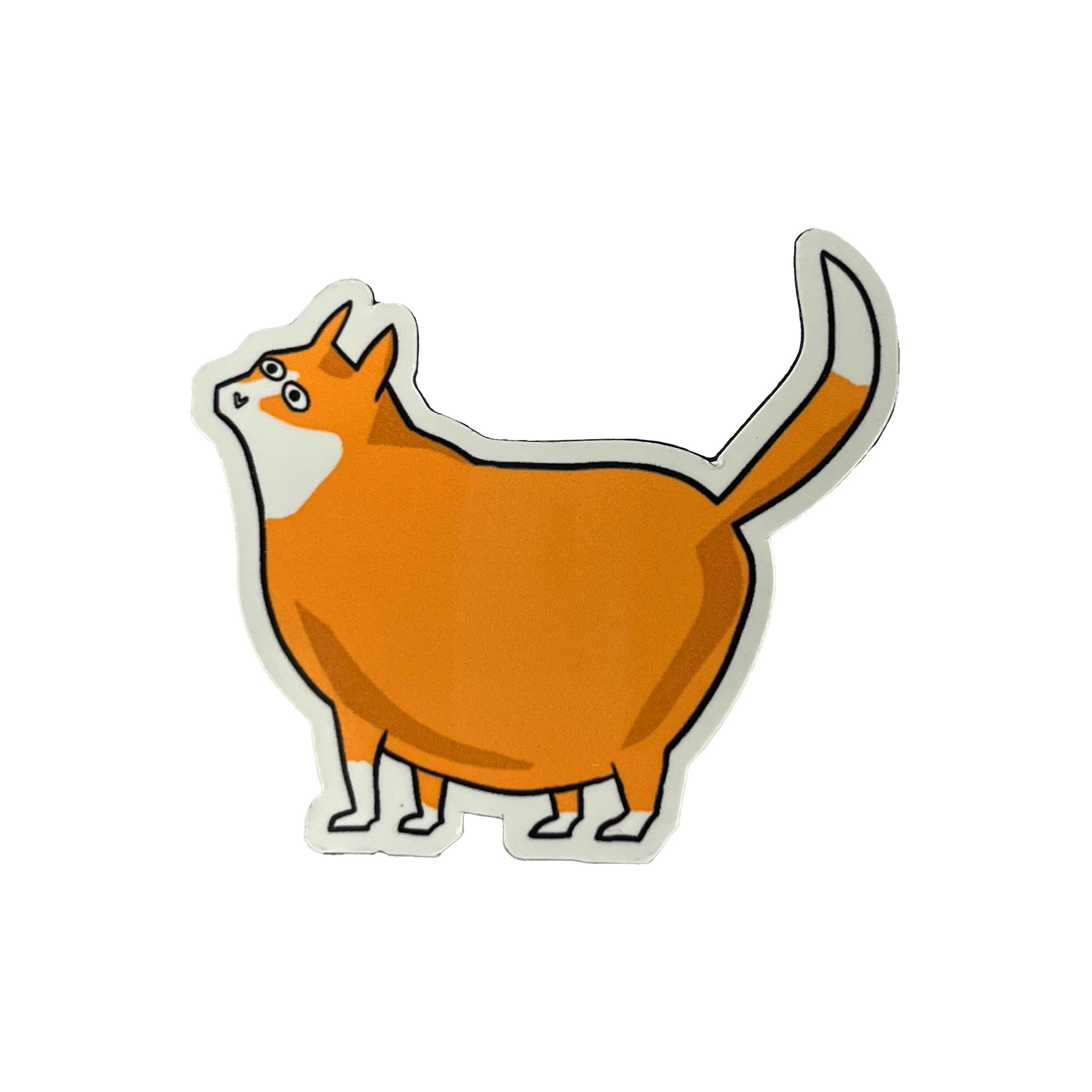 MAGNETS - CATS ALL.jpg