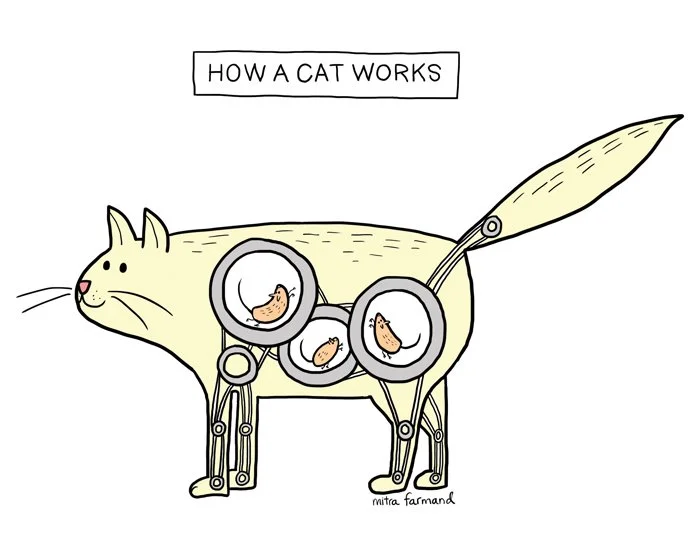 how a cat works.jpg