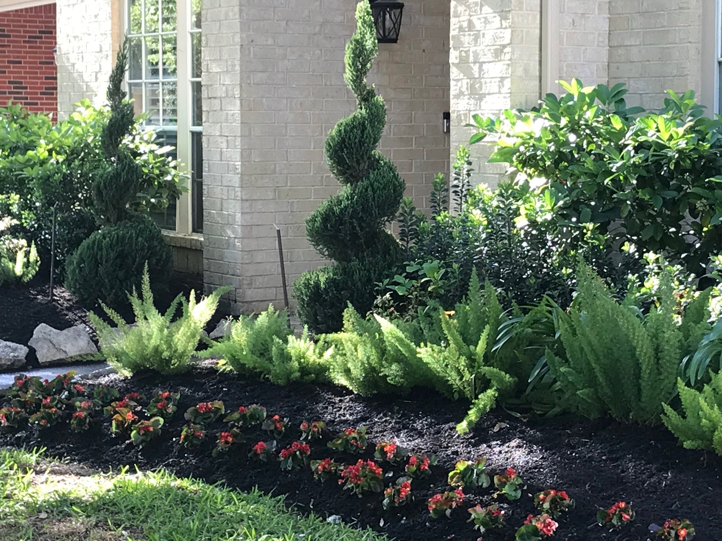 A landscaped garden with green shrubbery, including spiral-shaped topiary trees, ferns, flowering plants with pink blooms, and a stone border in front of a beige brick house with black window frames and a hanging lantern.