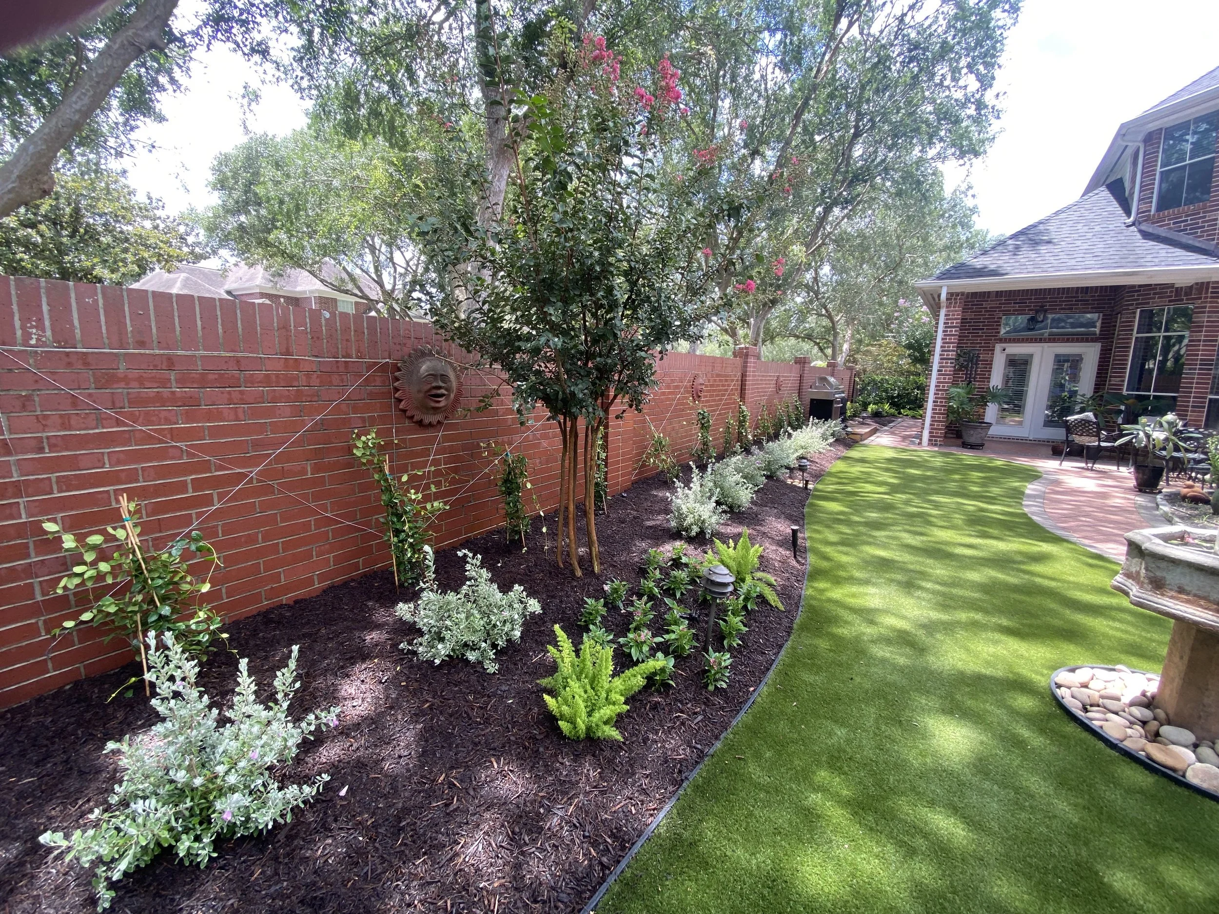 Newly installed Encore azaleas, star jasmine, and Texas sage along brick wall